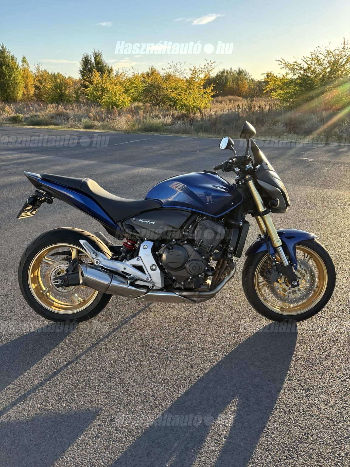 HONDA CB 600 F (HORNET) 2012/6 - 1