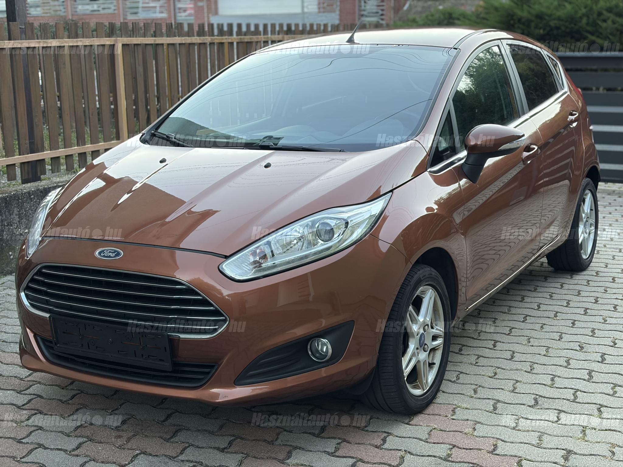 FORD FIESTA 2013/5 - 1