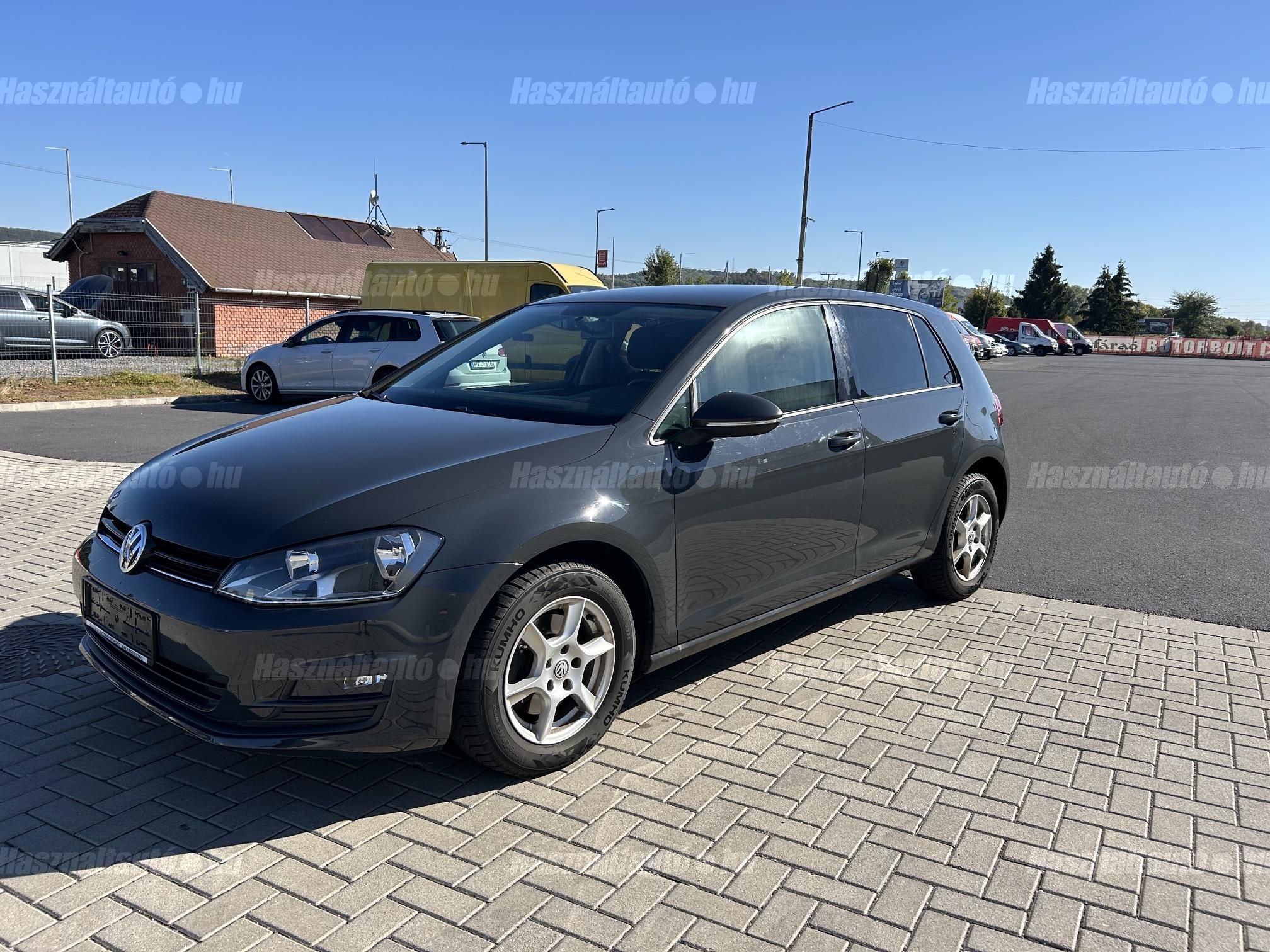 VOLKSWAGEN GOLF VII 2013/5 - 1