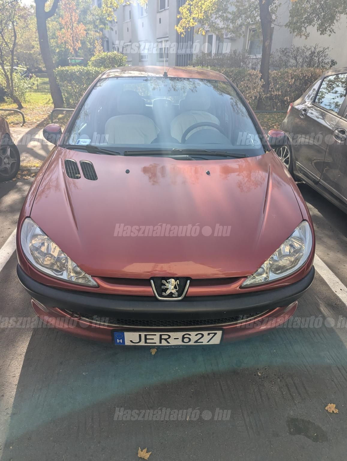 PEUGEOT 206 2004/5 - 1