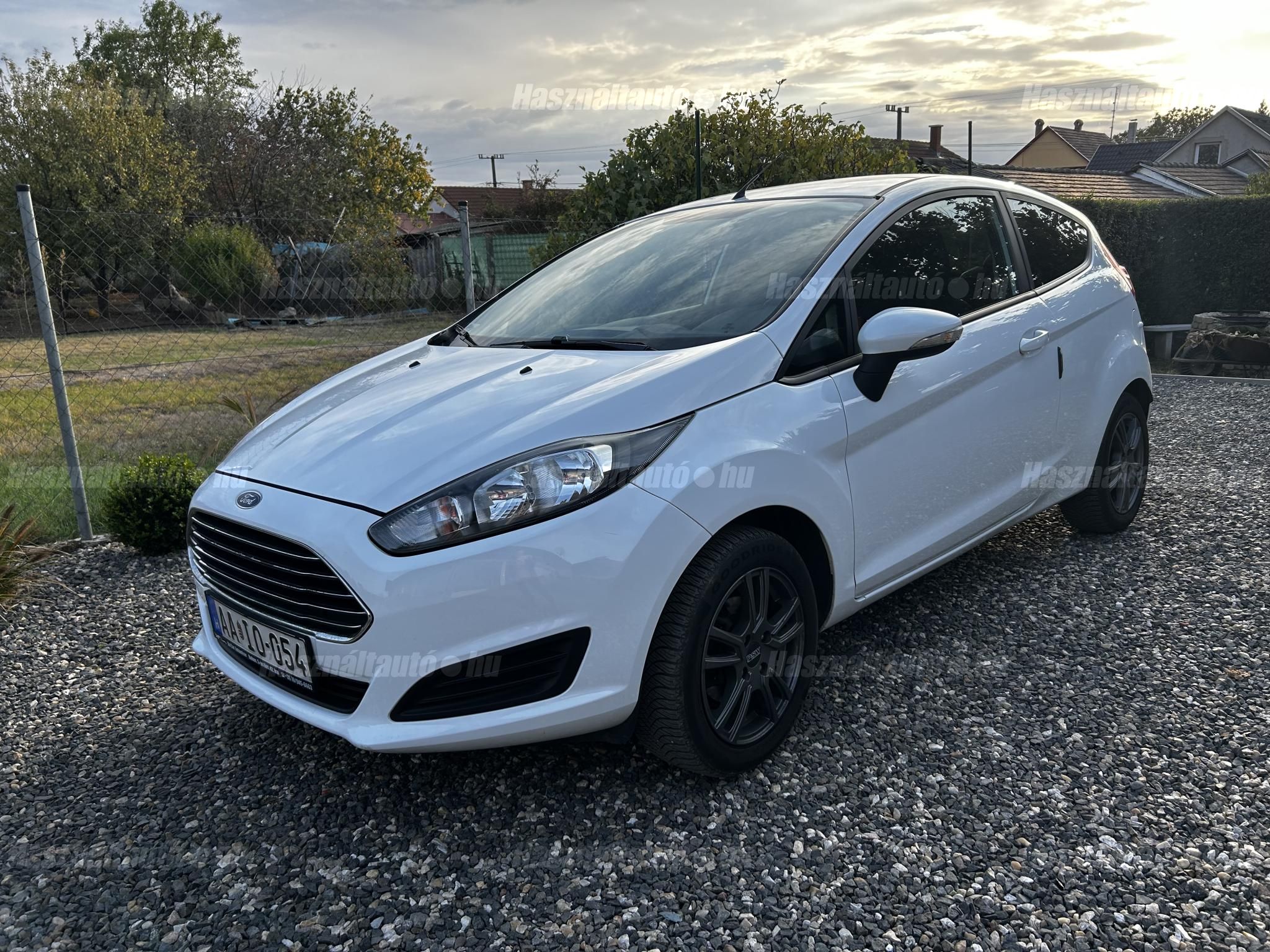 FORD FIESTA 2014/2 - 1