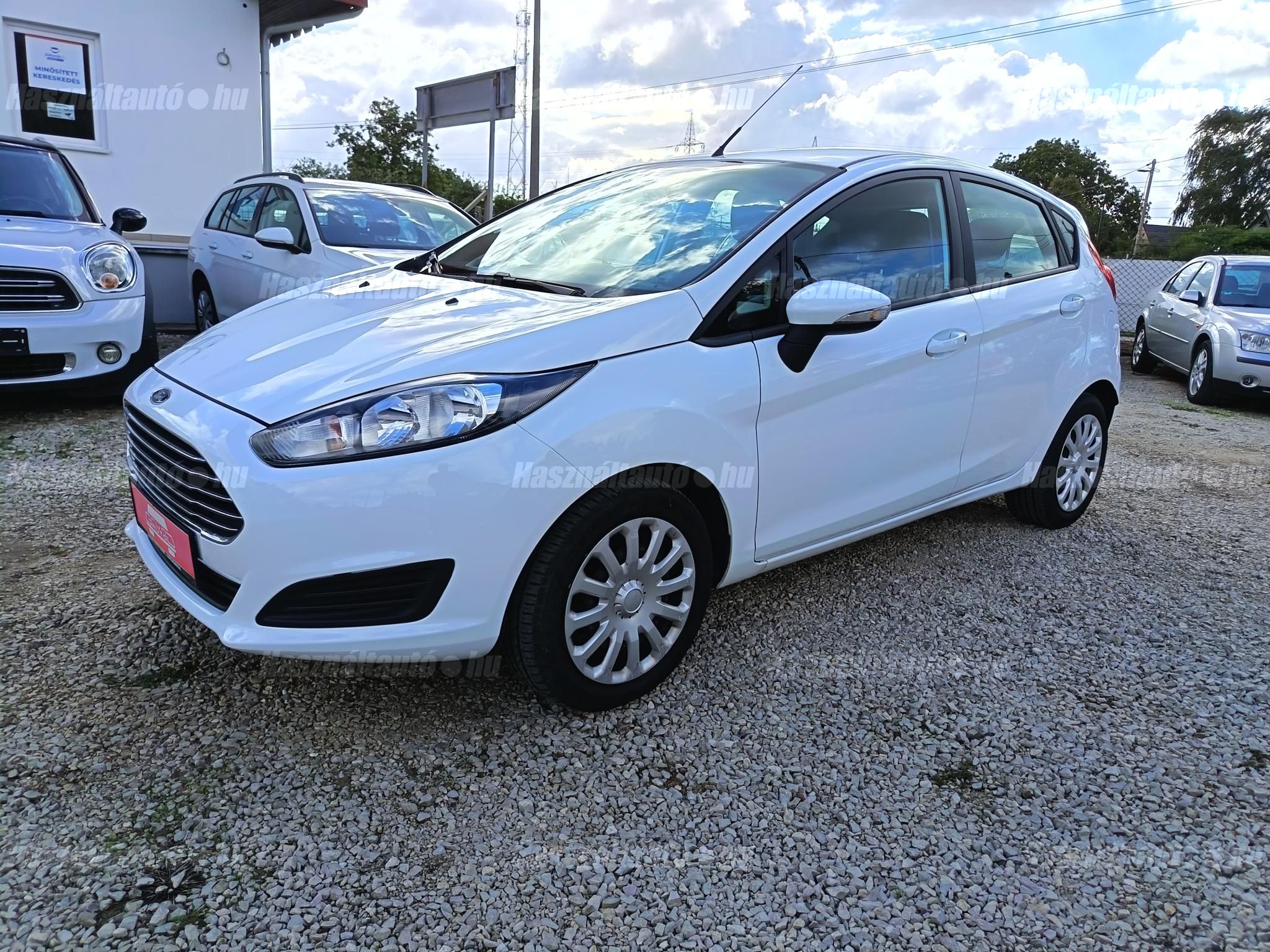 FORD FIESTA 2013/3 - 1