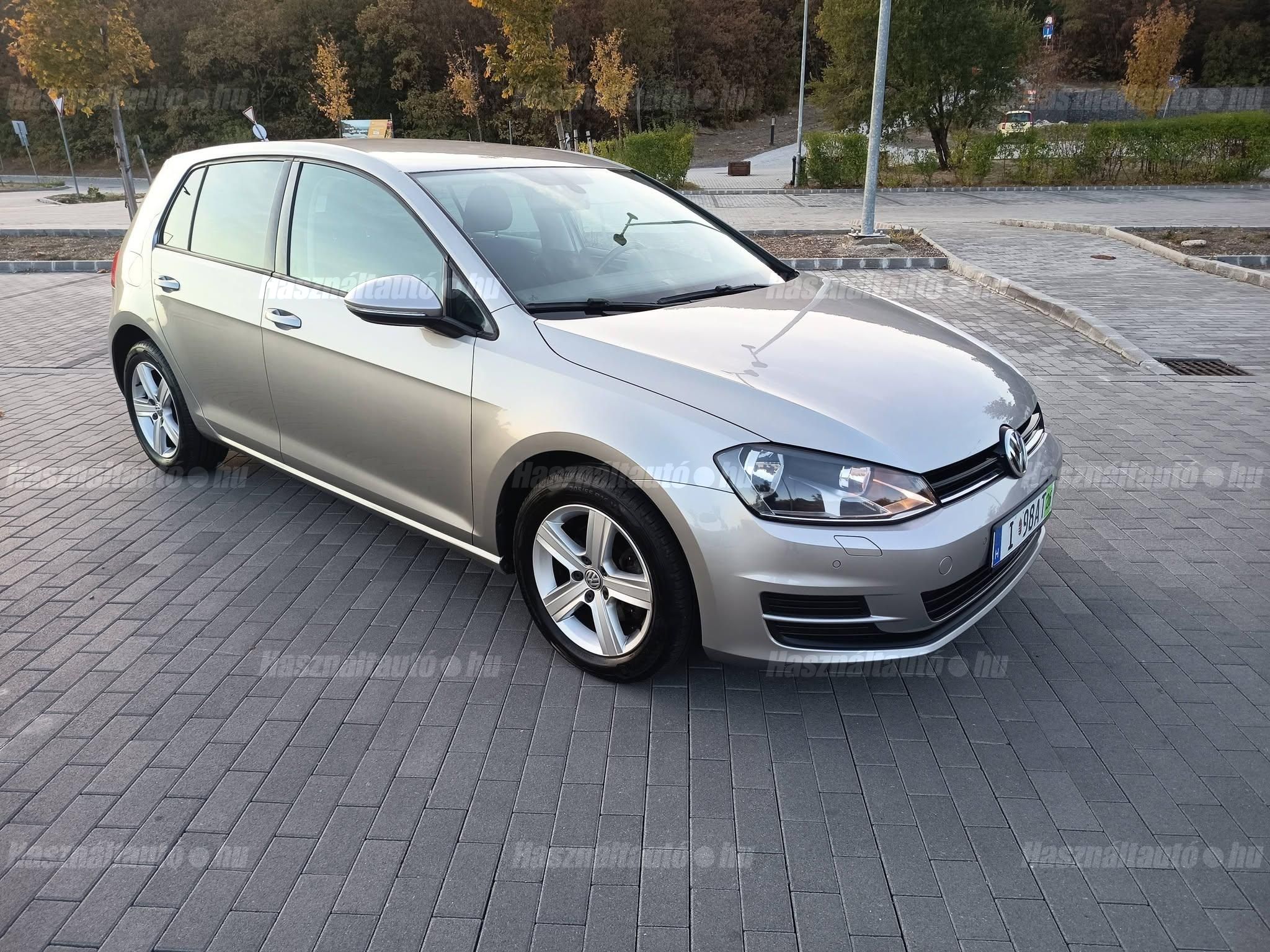 VOLKSWAGEN GOLF 2013 - 1