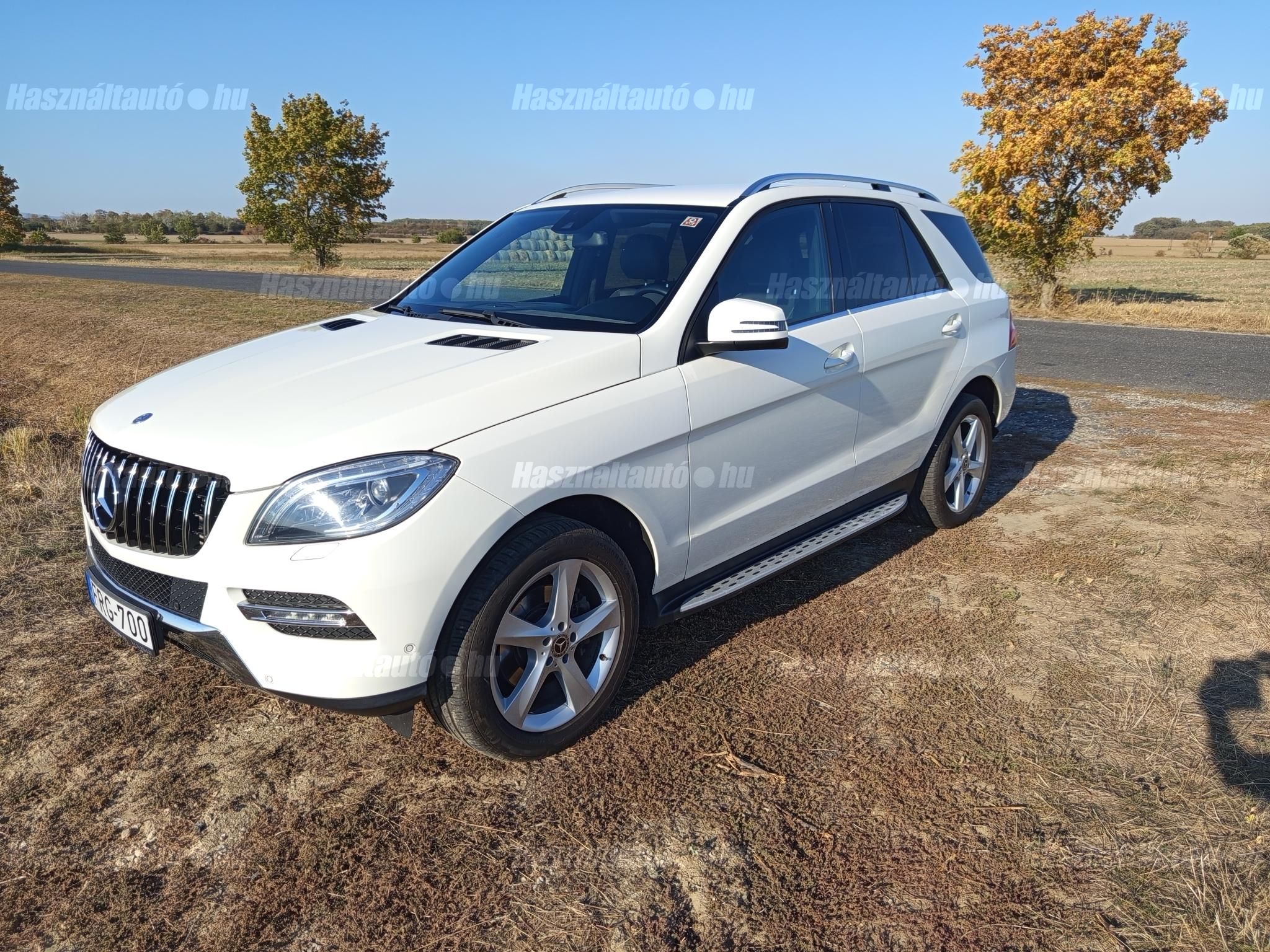 MERCEDES-BENZ ML 250 2013/9 - 1