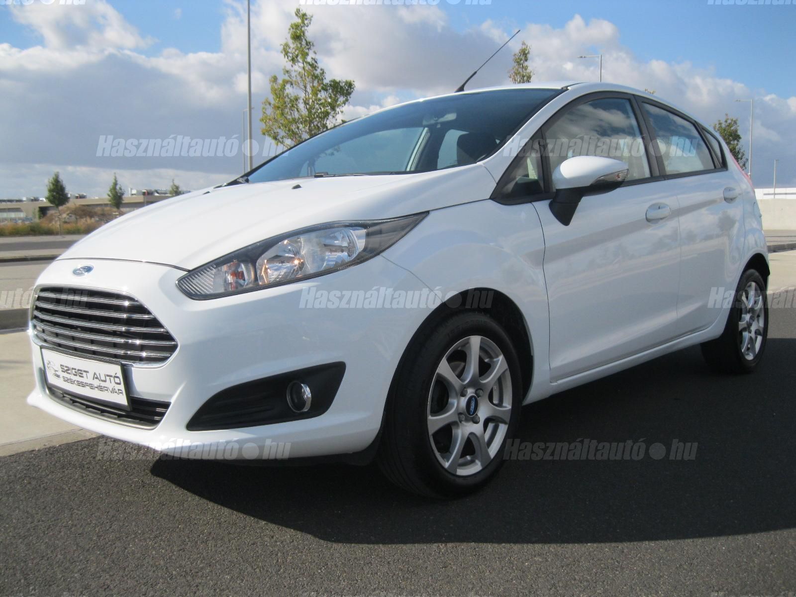FORD FIESTA 2013/3 - 1