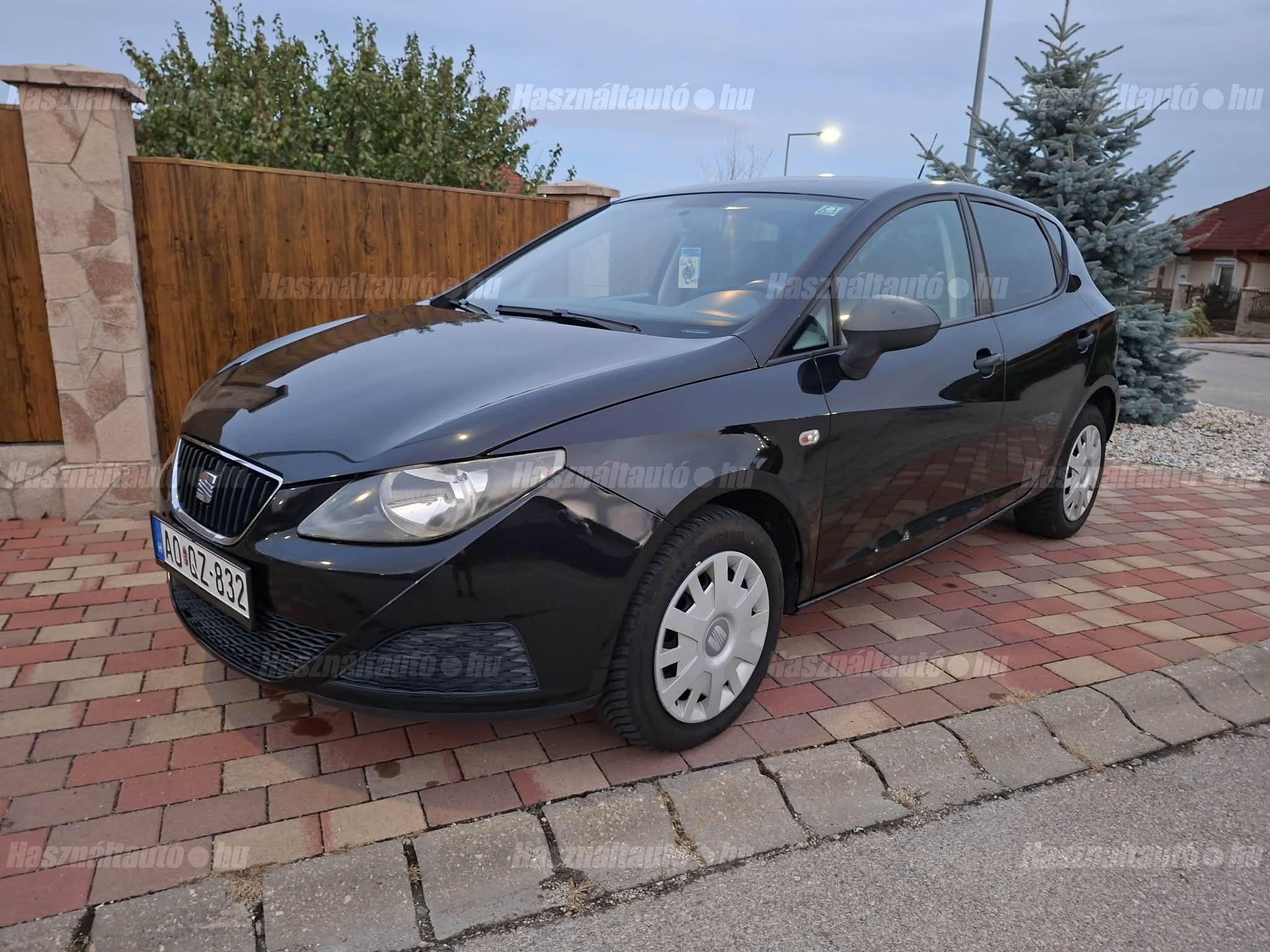 SEAT IBIZA 2009/4 - 1