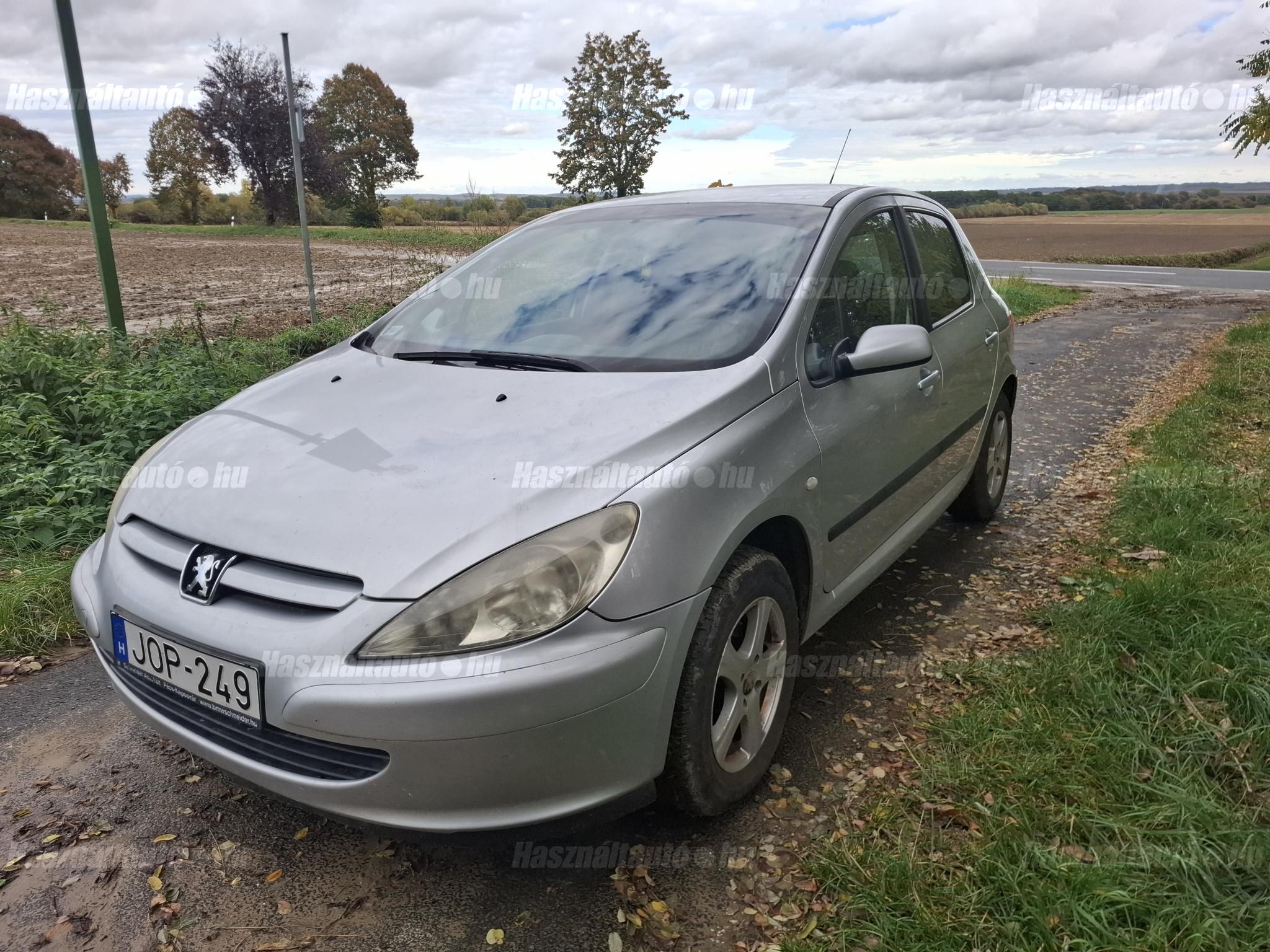 PEUGEOT 307 2005/3 - 1