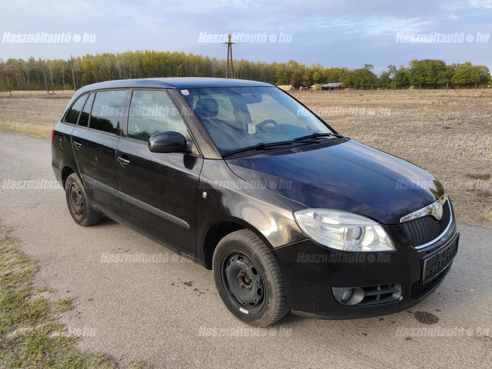 SKODA FABIA 2008 - 1