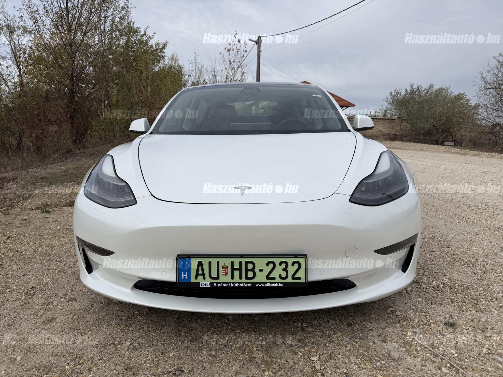 TESLA MODEL 3 2021/4 - 1