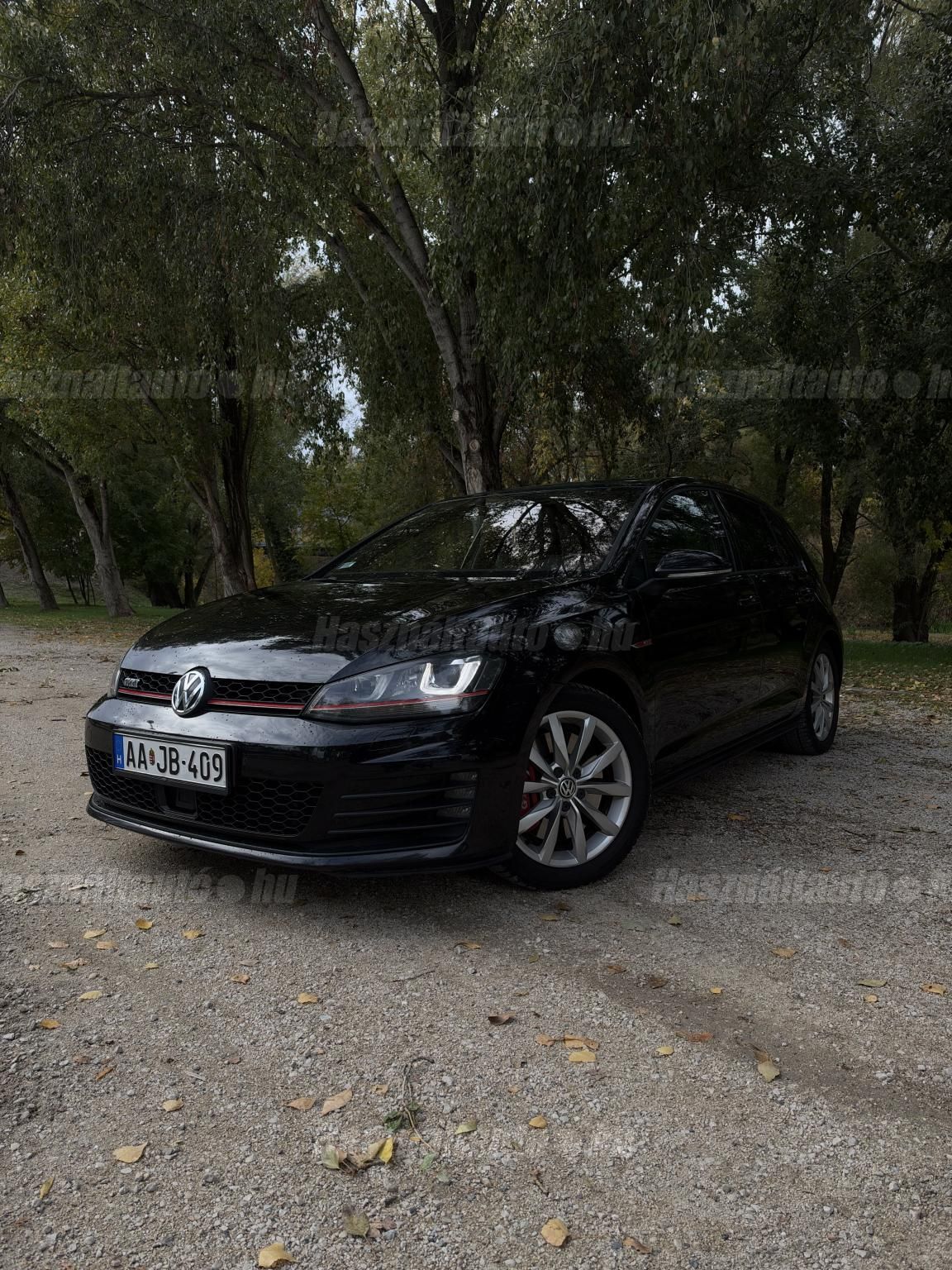 VOLKSWAGEN GOLF VII 2013 - 1