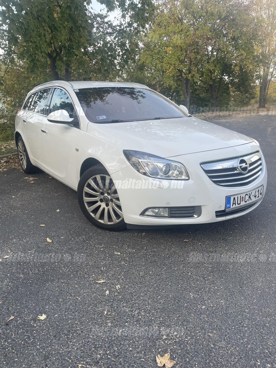 OPEL INSIGNIA 2013 - 1