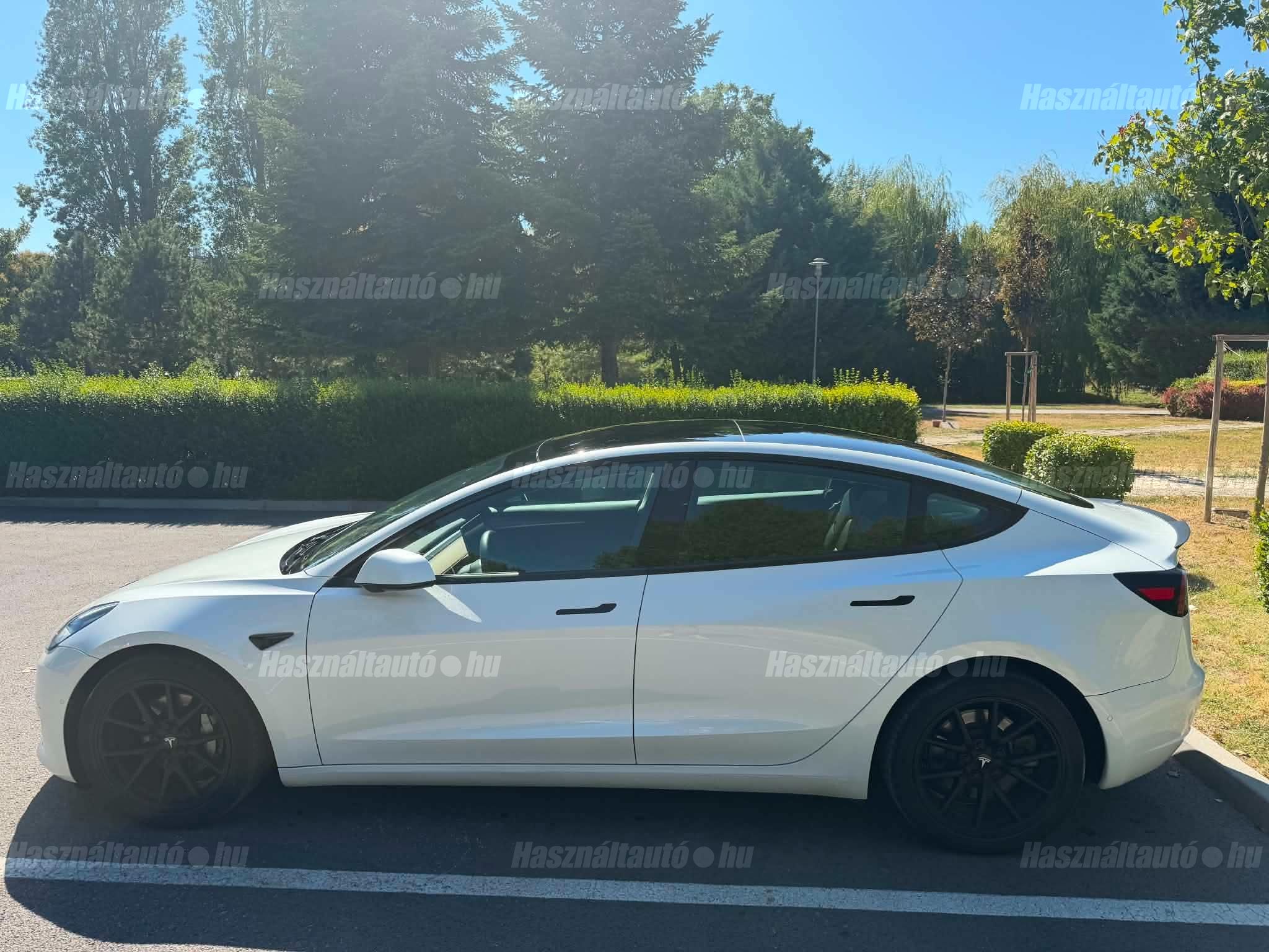 TESLA MODEL 3 2021/8 - 1