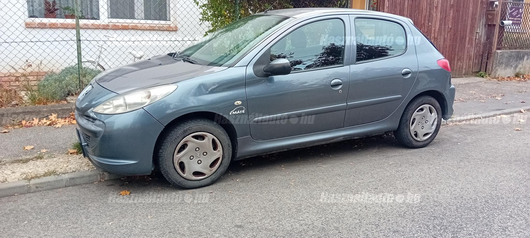 PEUGEOT 206 2009/12 - 1