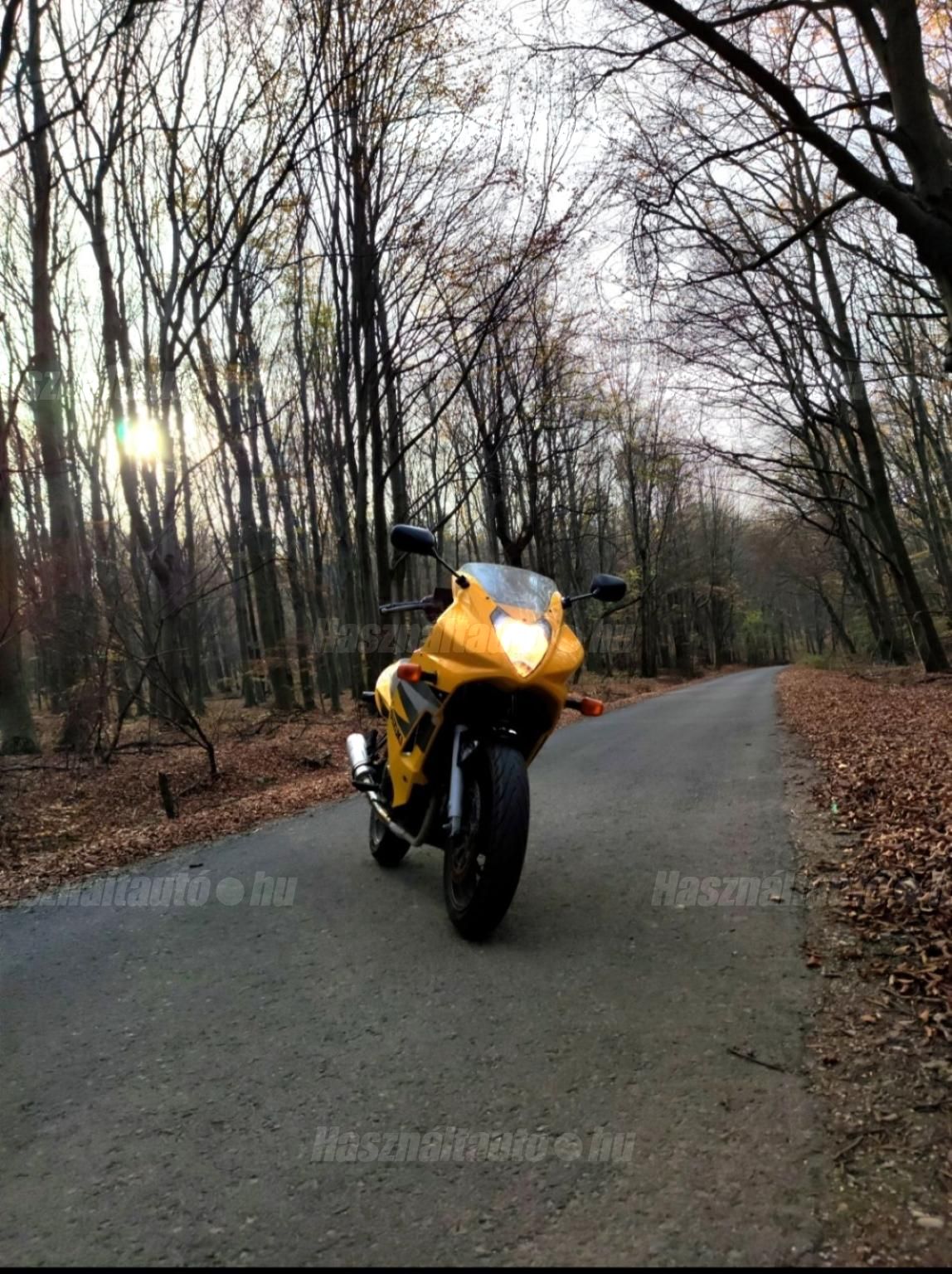 SUZUKI GS 500 F 2004/6 - 1