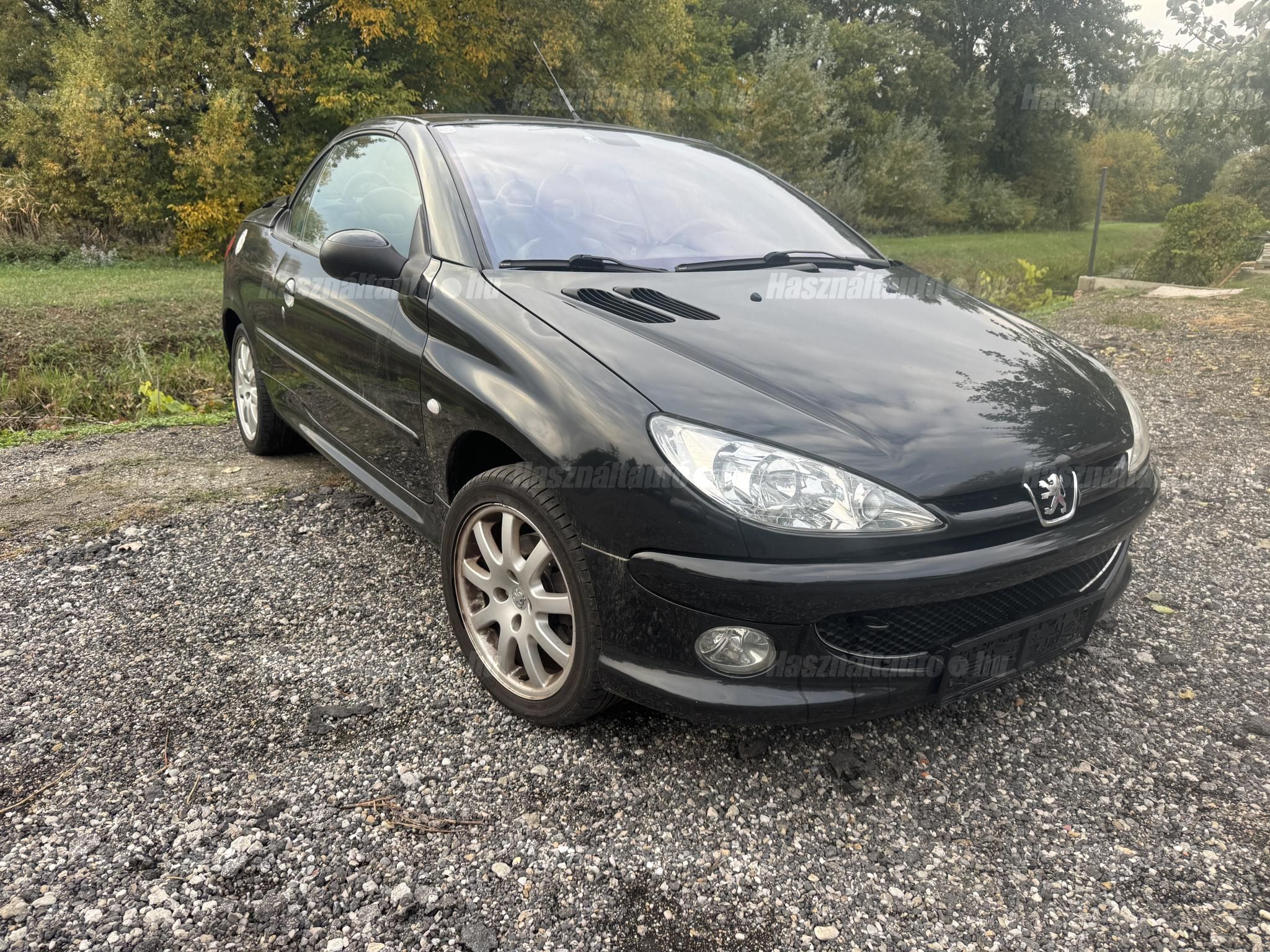 PEUGEOT 206 2004/6 - 1