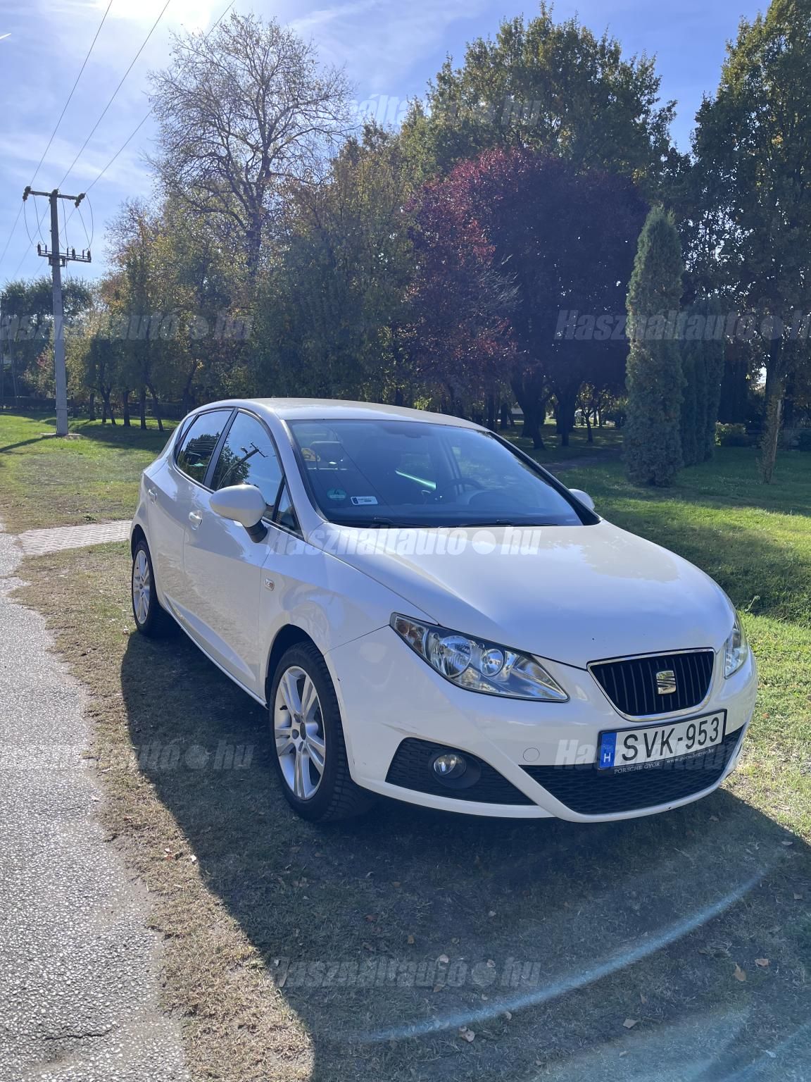 SEAT IBIZA 2009/6 - 1