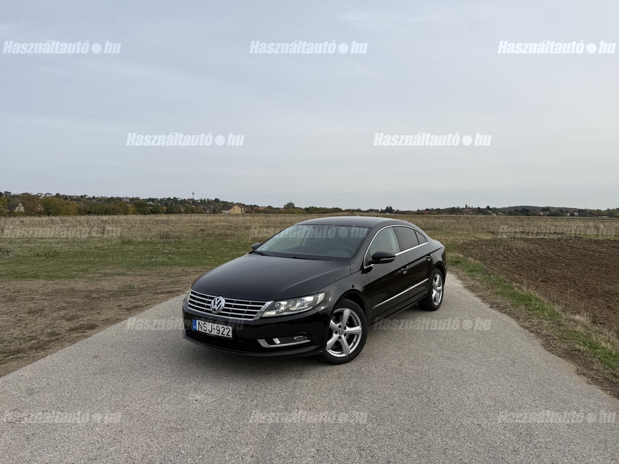 VOLKSWAGEN PASSAT CC 2013 - 1