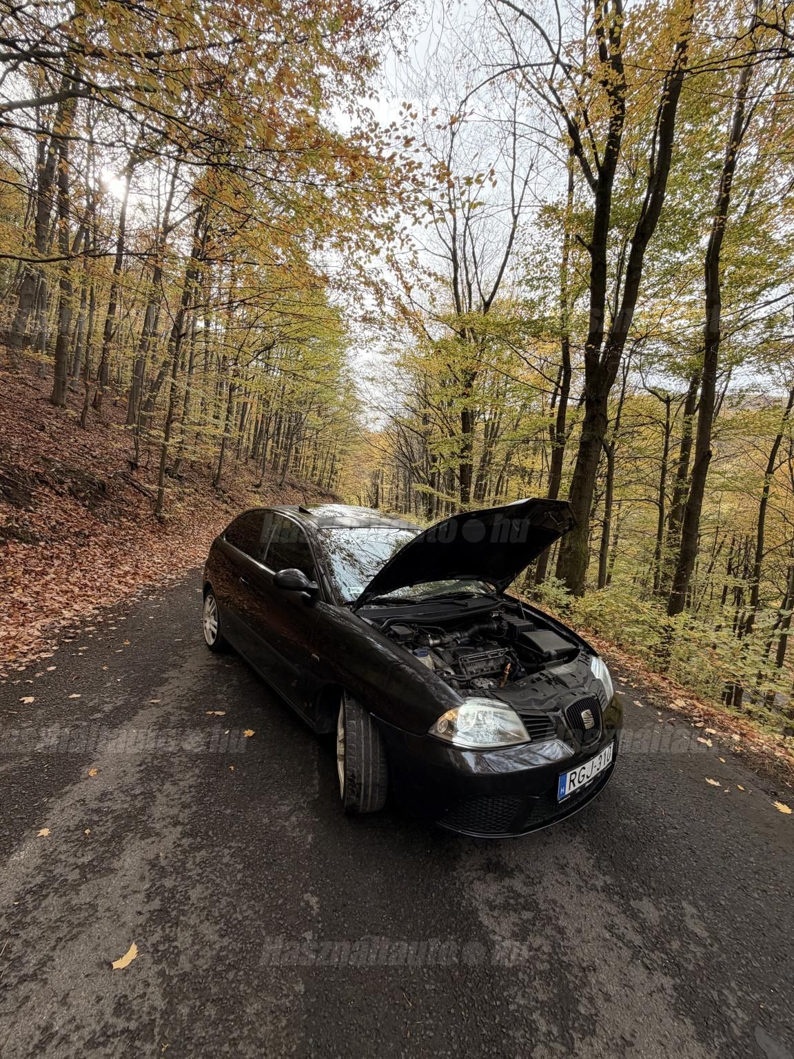 SEAT IBIZA 2003/3 - 1