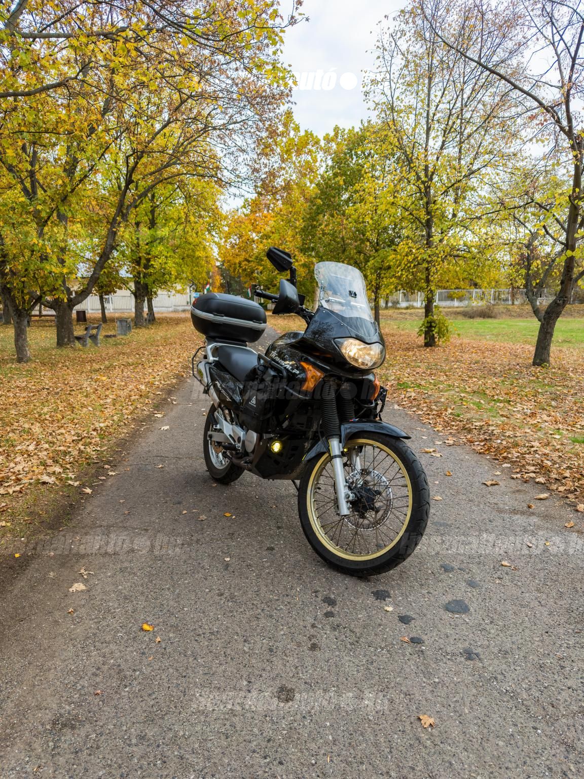 HONDA XL 650 2000 - 1