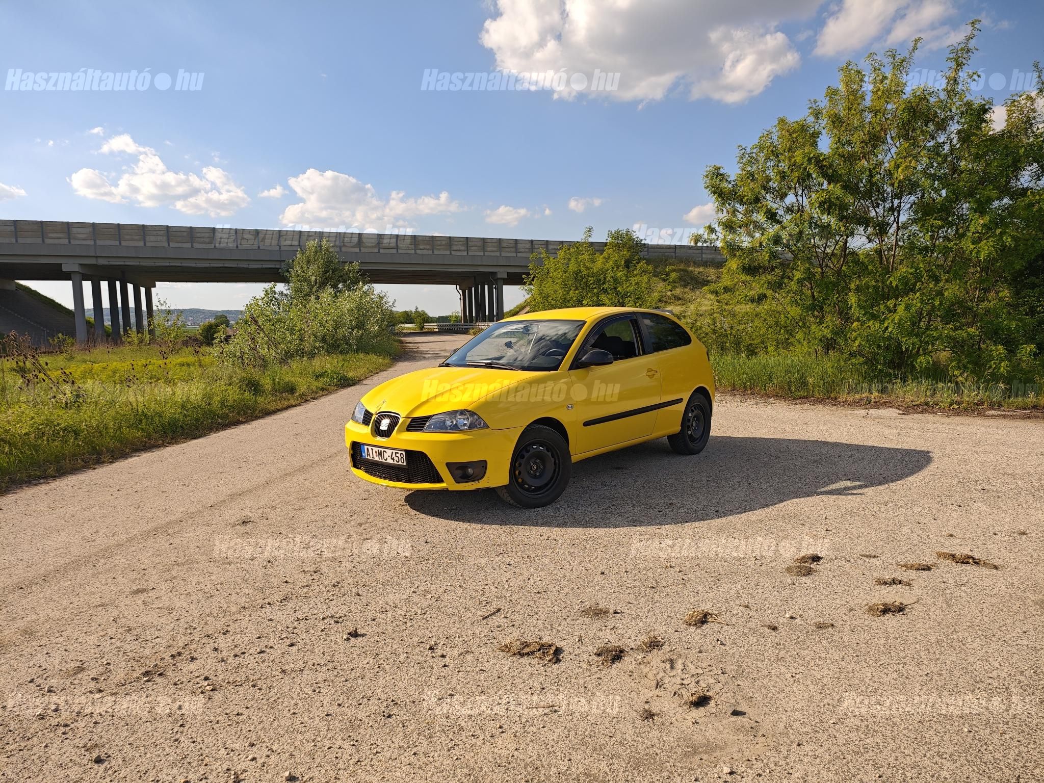 SEAT IBIZA 2005 - 1