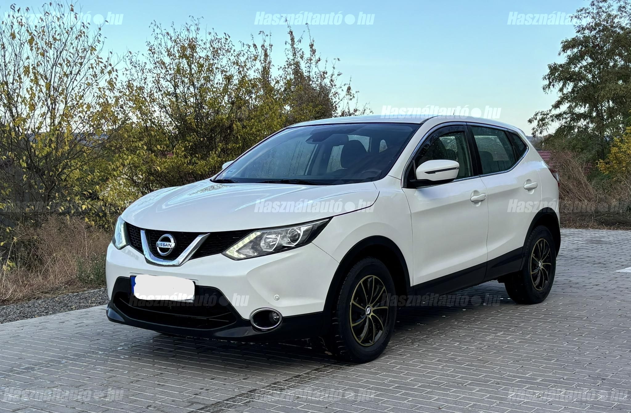 NISSAN QASHQAI 2015/3 - 1