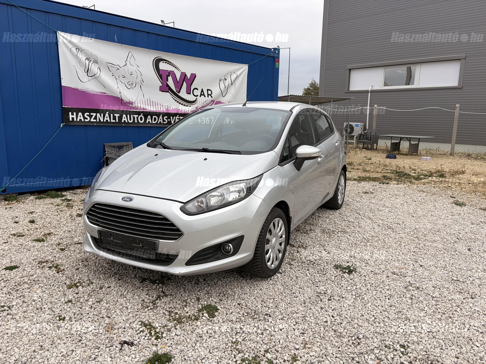 FORD FIESTA 2013/6 - 1