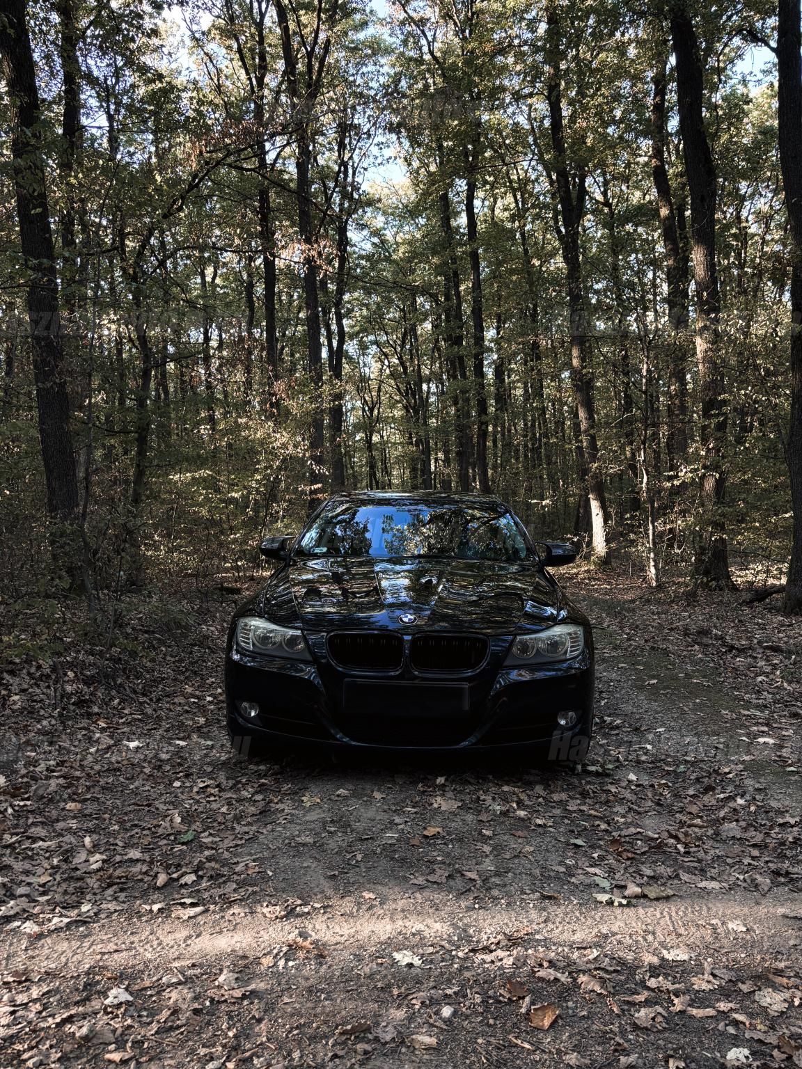BMW 318 2010 - 1