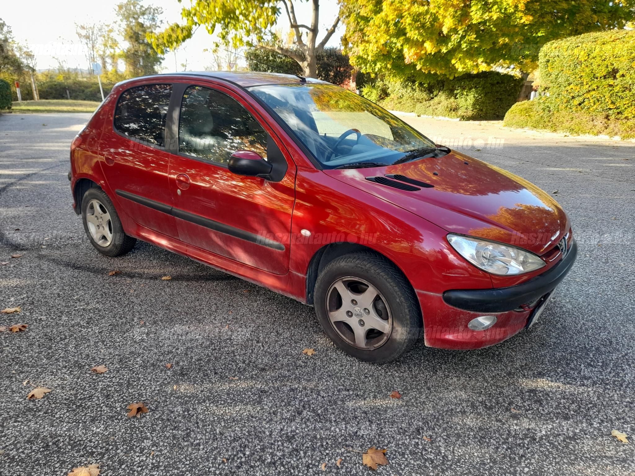 PEUGEOT 206 2003/12 - 1