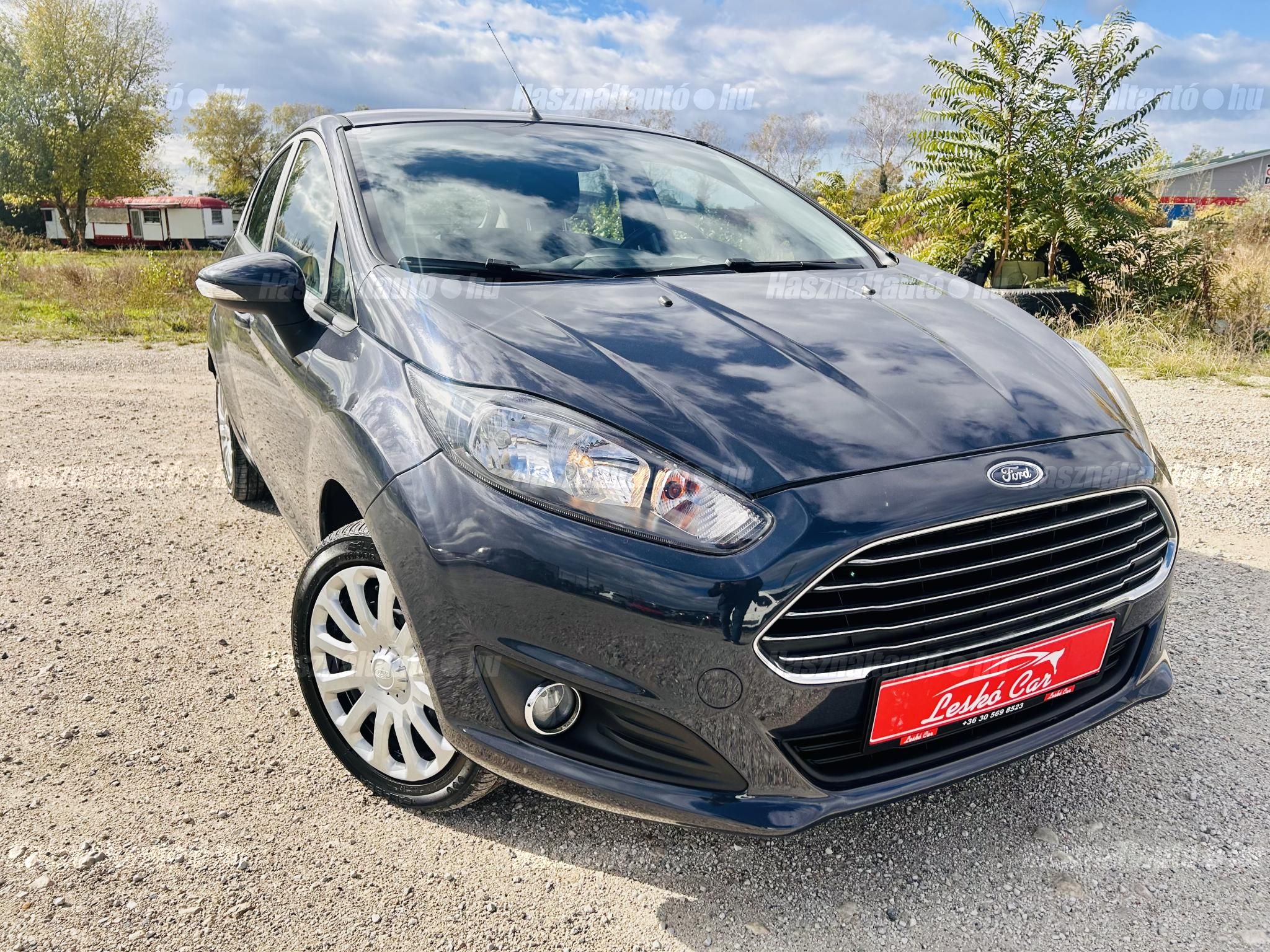 FORD FIESTA 2014/4 - 1