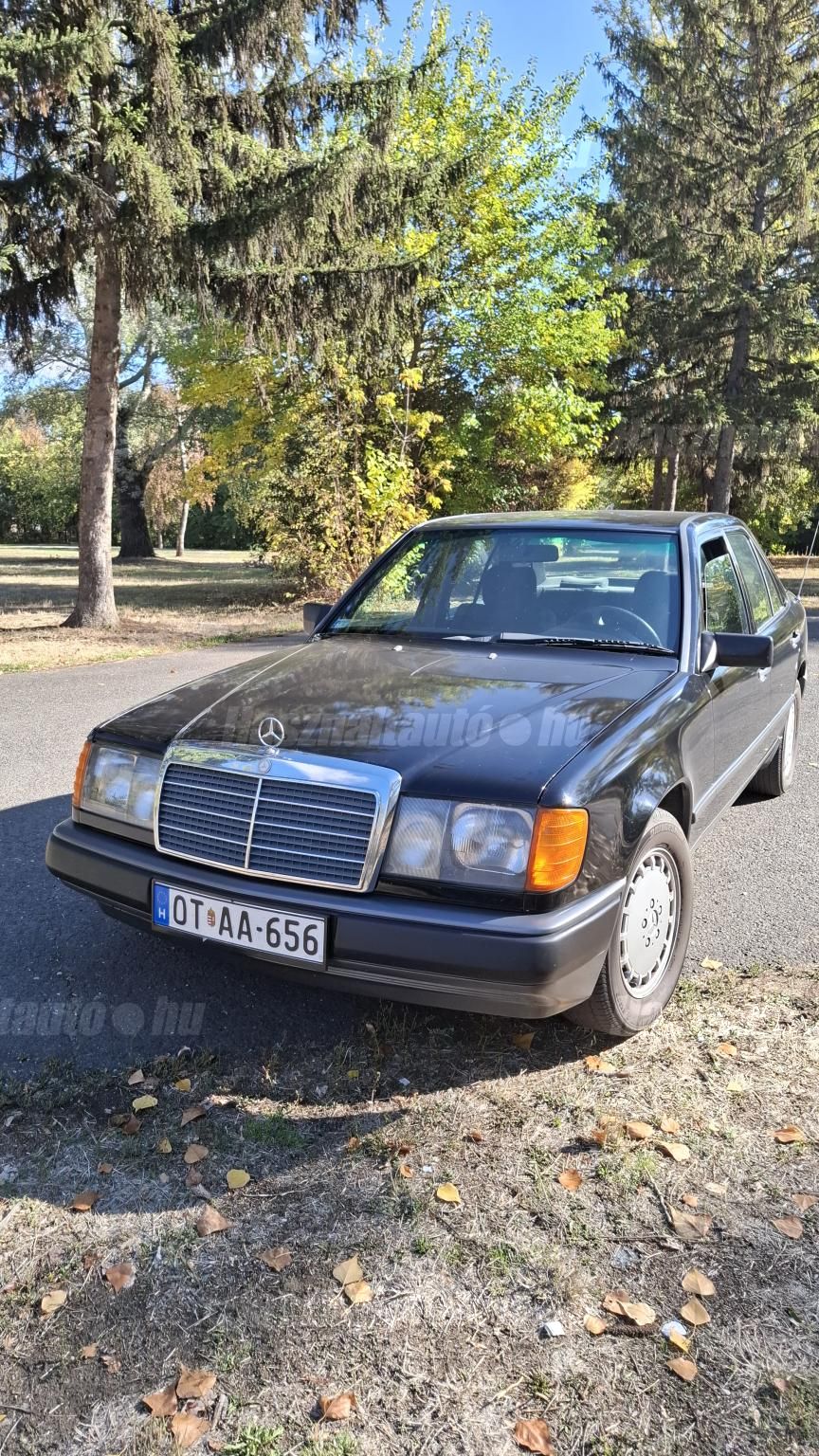 MERCEDES-BENZ W 124 1986/8 - 1