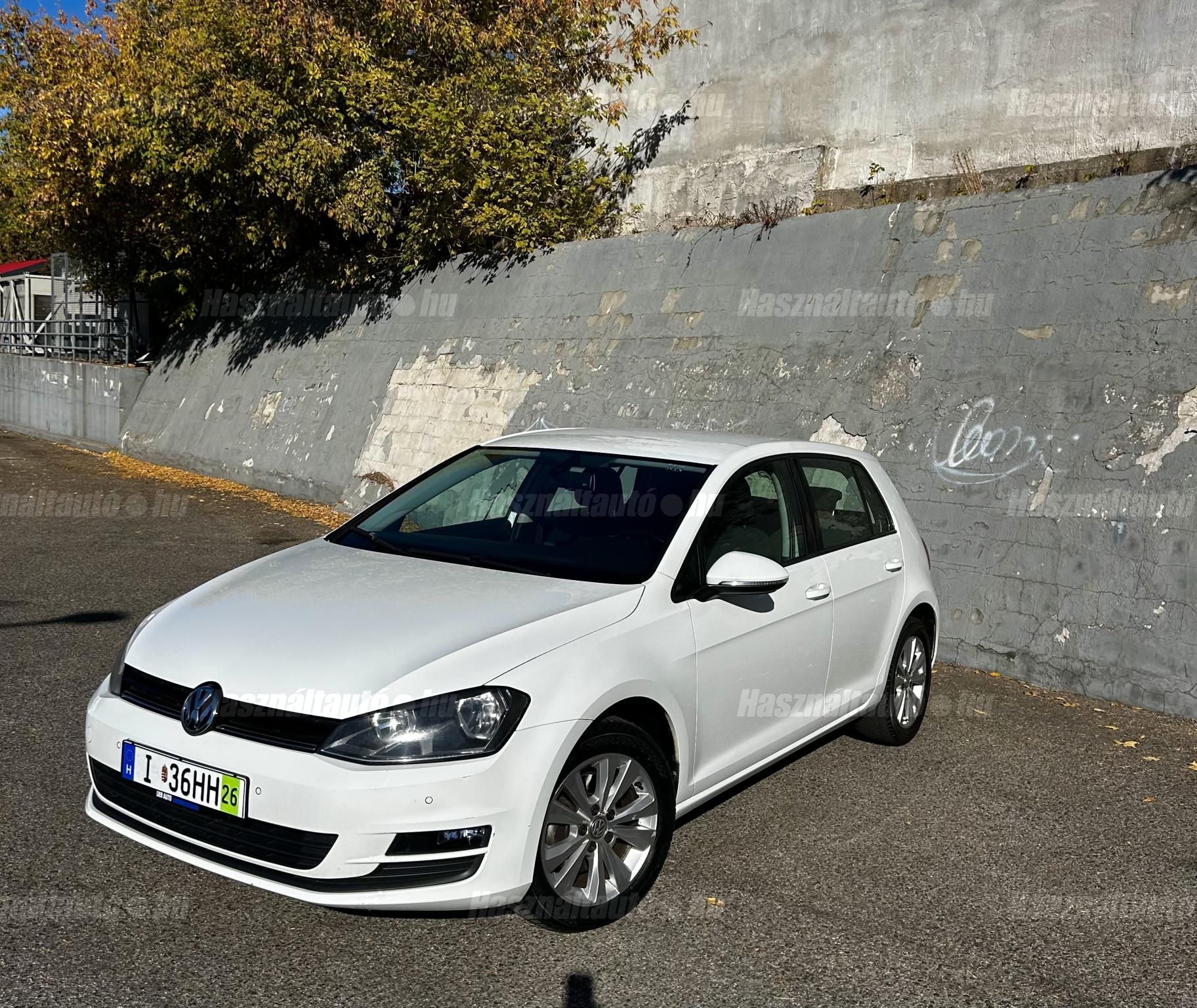VOLKSWAGEN GOLF VII 2013/12 - 1