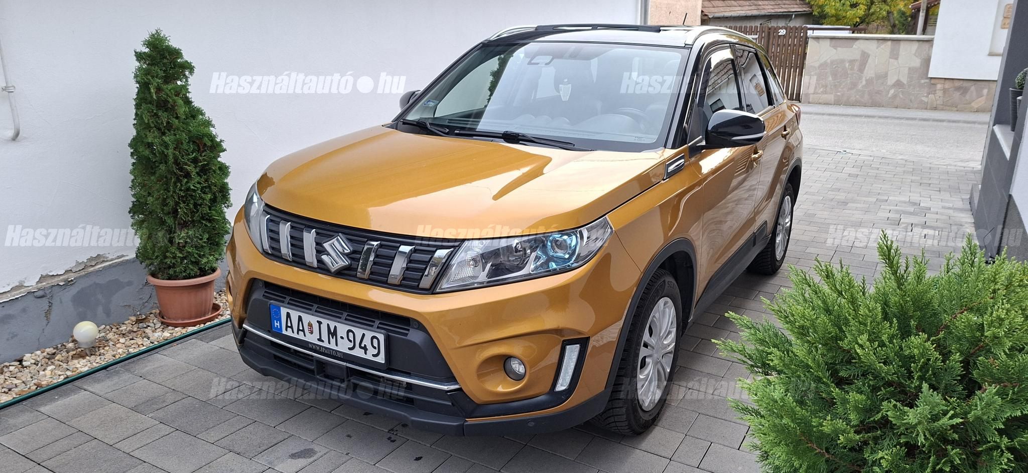 SUZUKI VITARA 2019/1 - 1