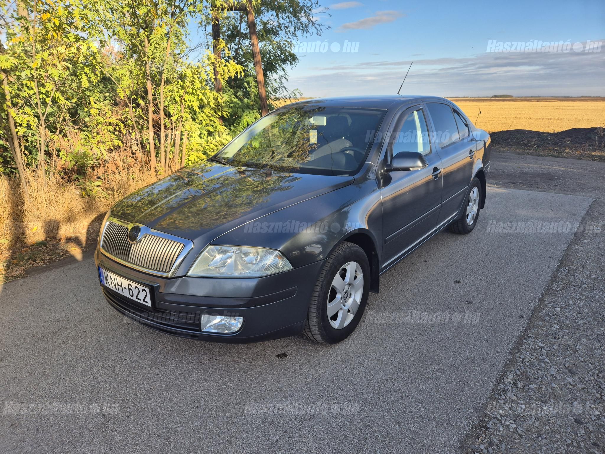 SKODA OCTAVIA 2006/12 - 1