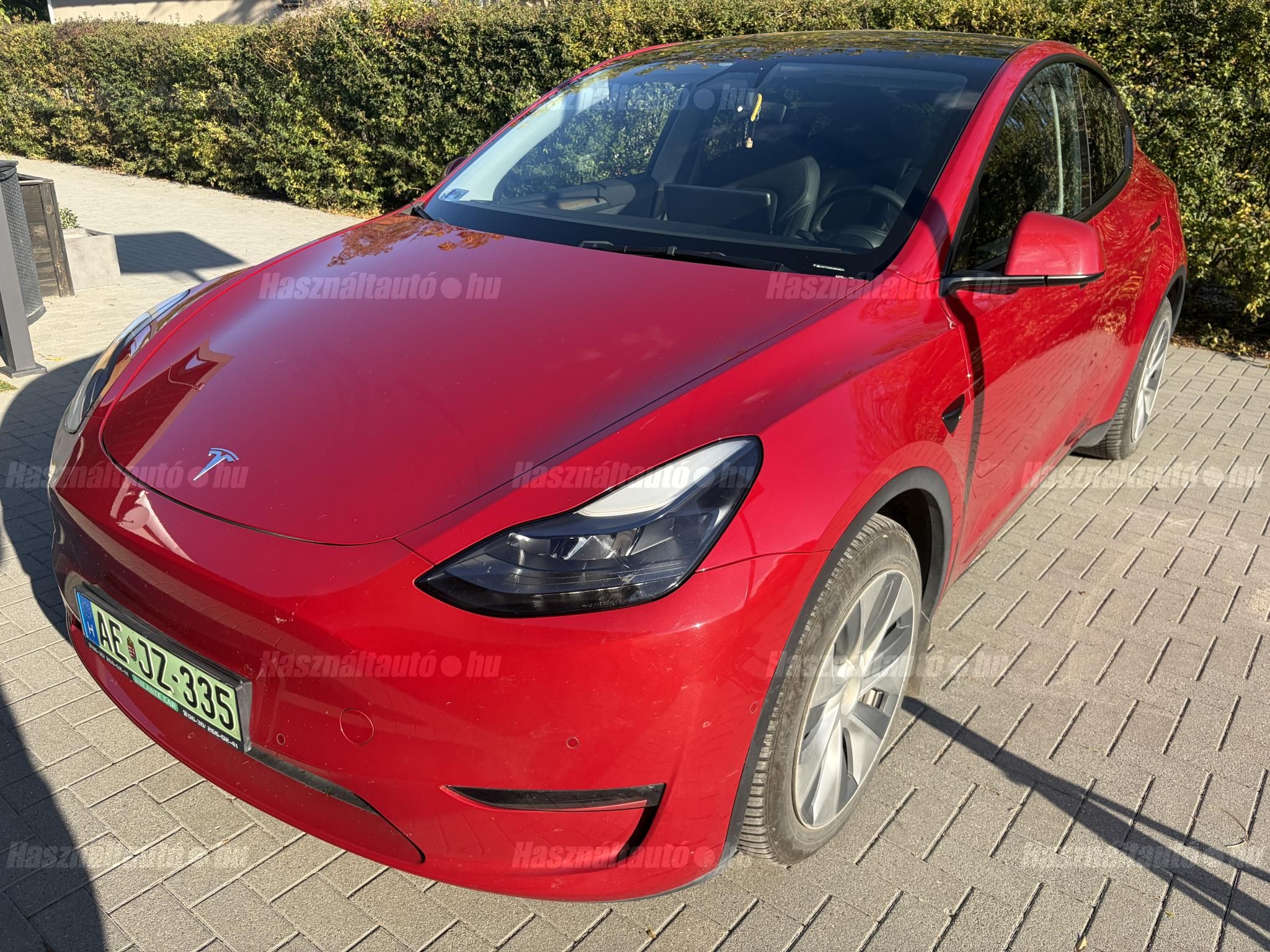 TESLA MODEL Y 2021/9 - 1