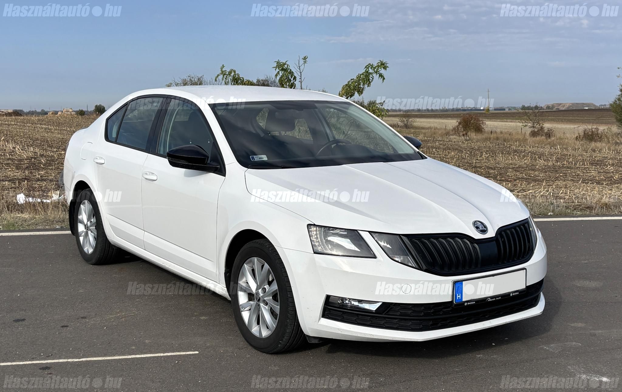 SKODA OCTAVIA 2019/11 - 1