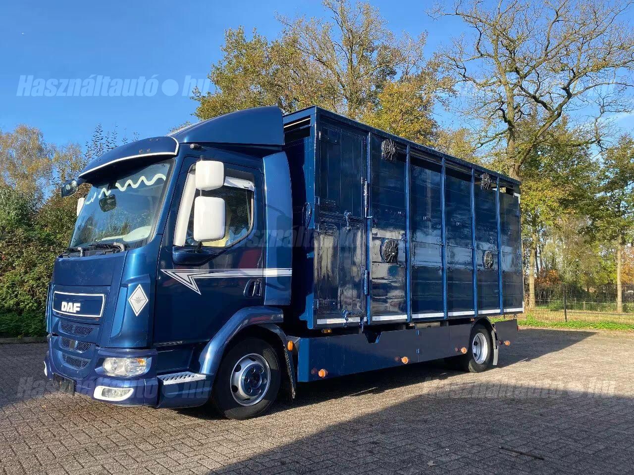DAF 2016/11 - 1