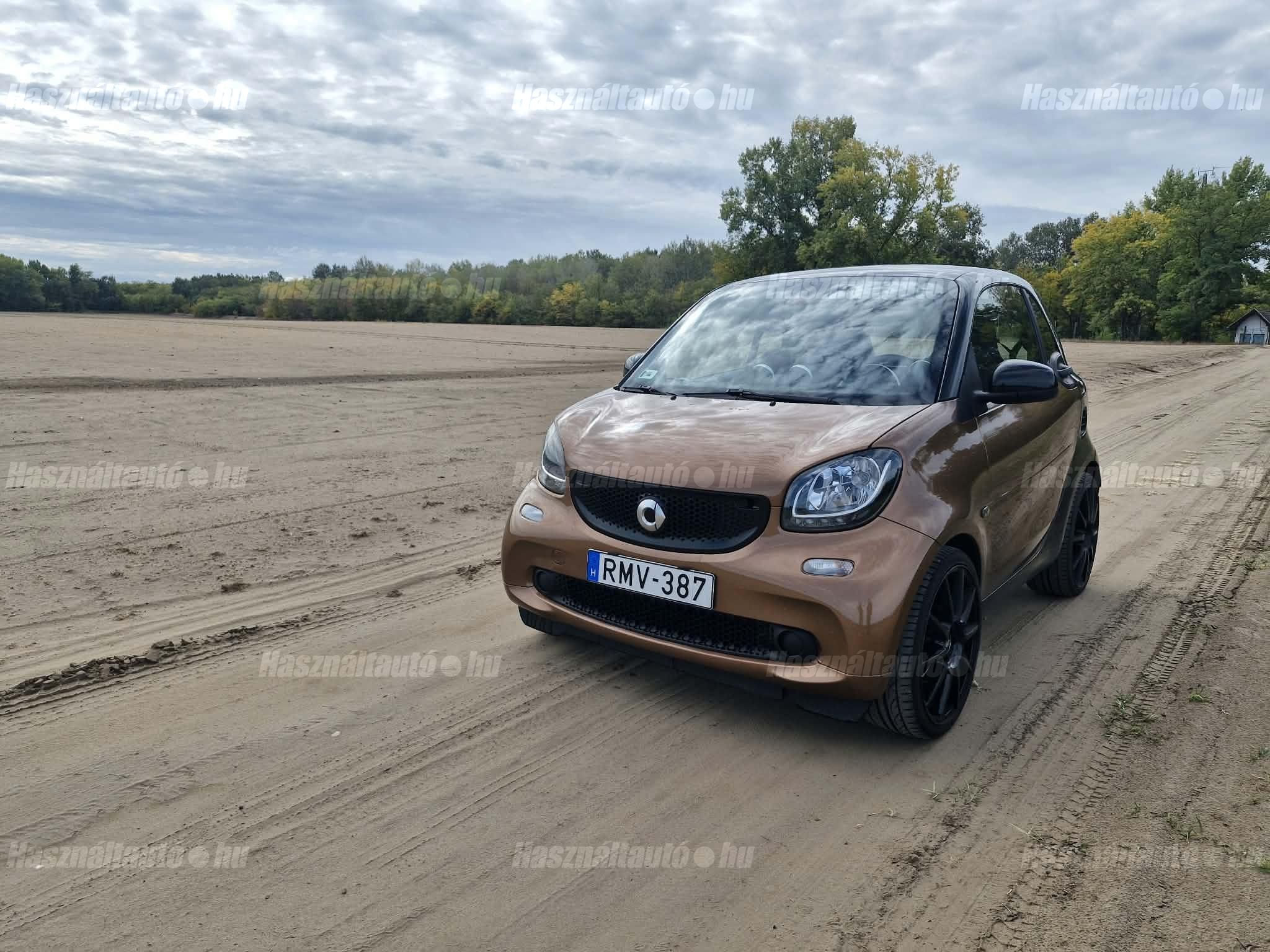 SMART FORTWO COUPE 2016/1 - 1