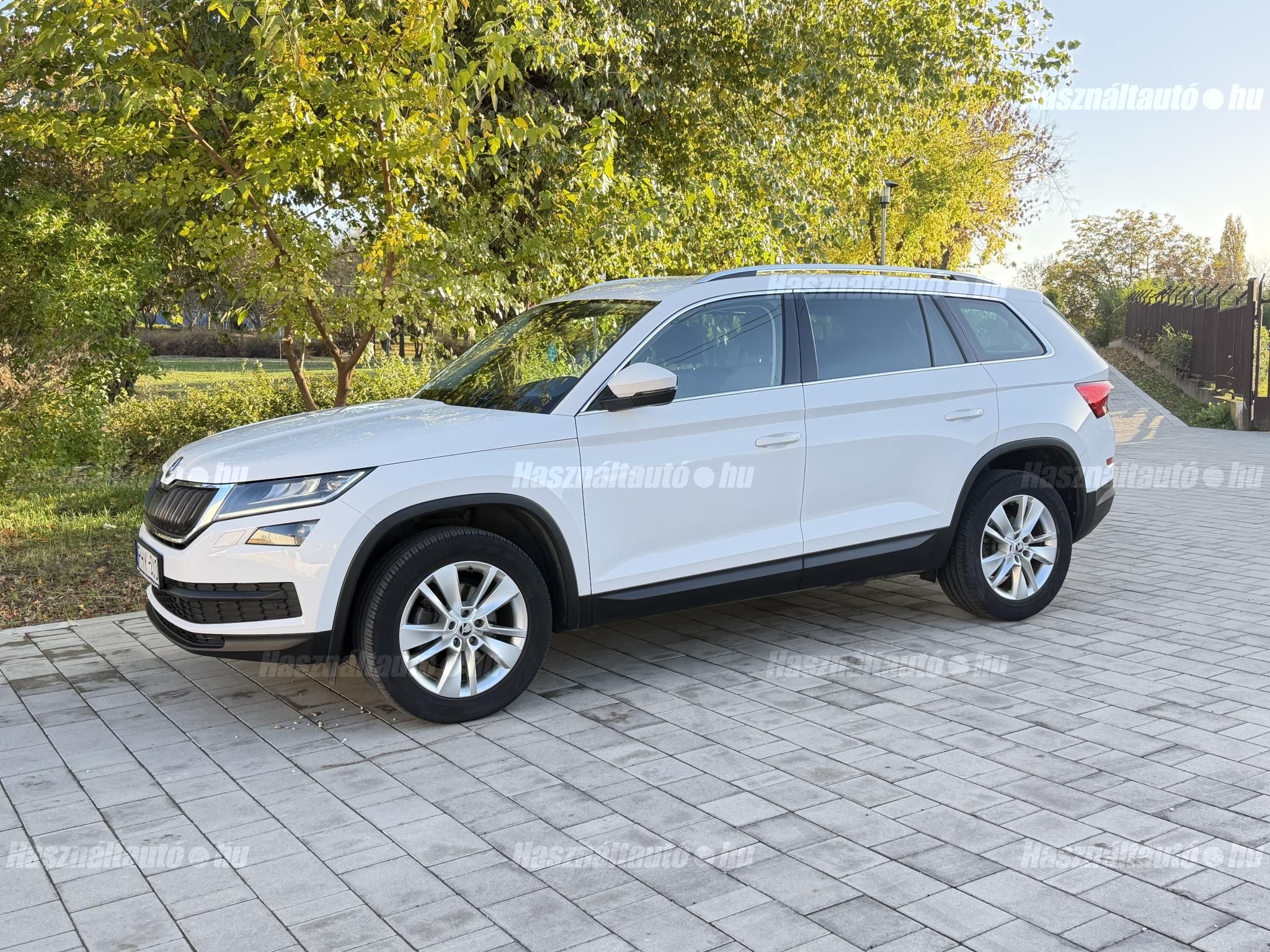 SKODA KODIAQ 2019/1 - 1