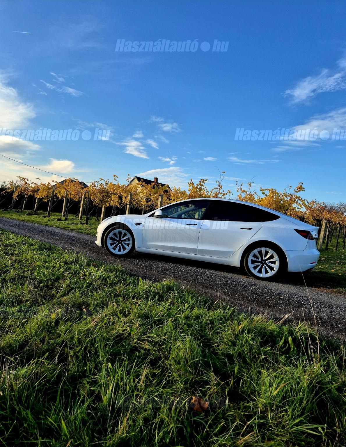 TESLA MODEL 3 2021/6 - 1