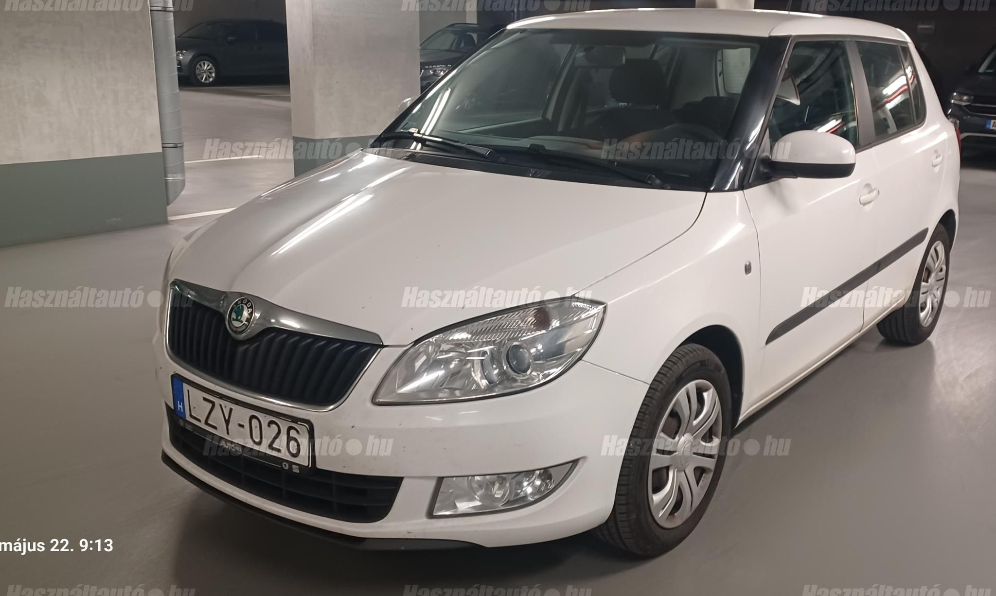 SKODA FABIA 2011 - 1