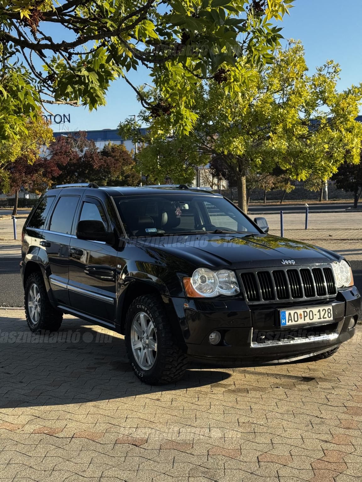 JEEP GRAND CHEROKEE 2010/1 - 1