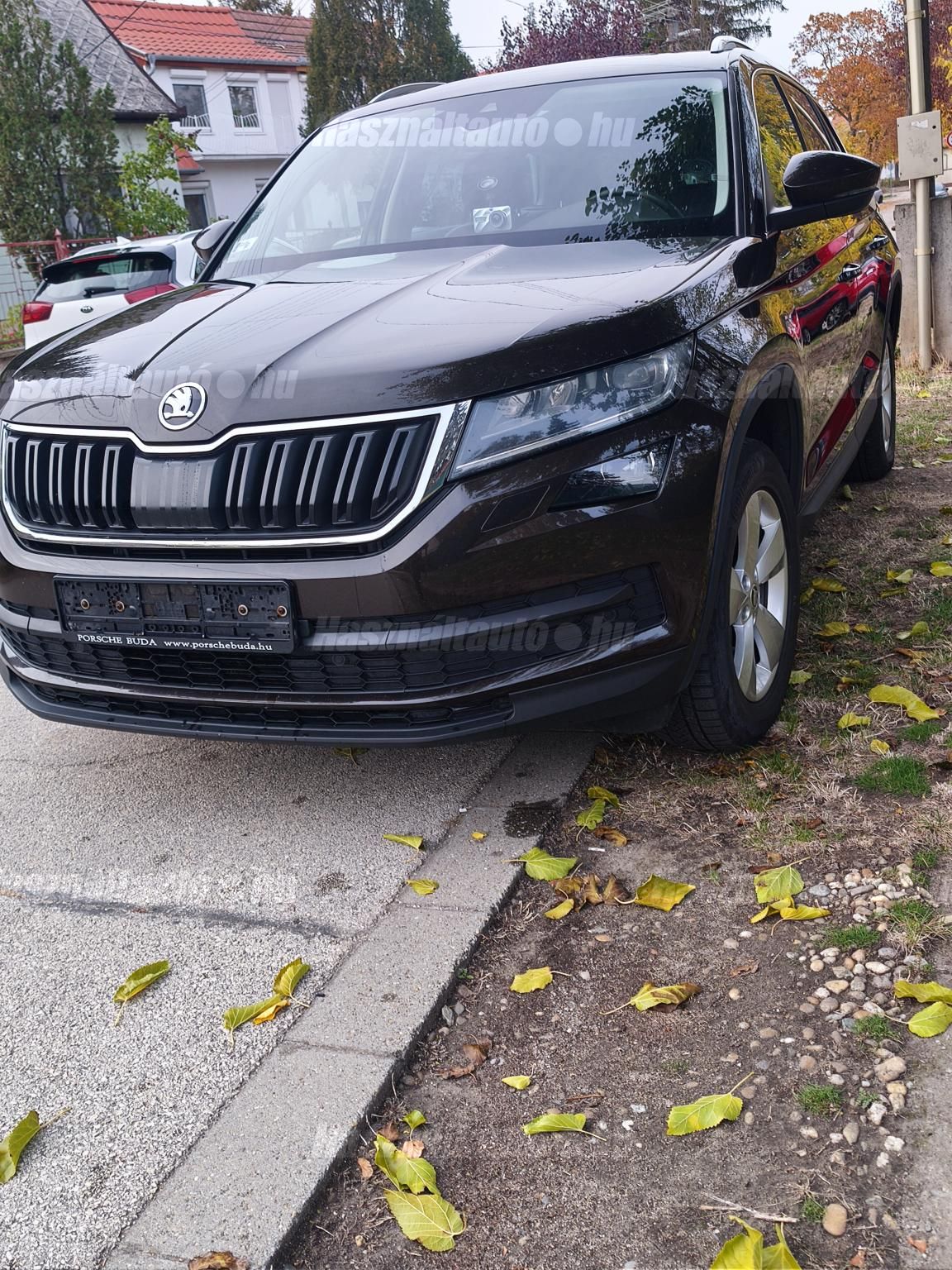 SKODA KODIAQ 2019/4 - 1