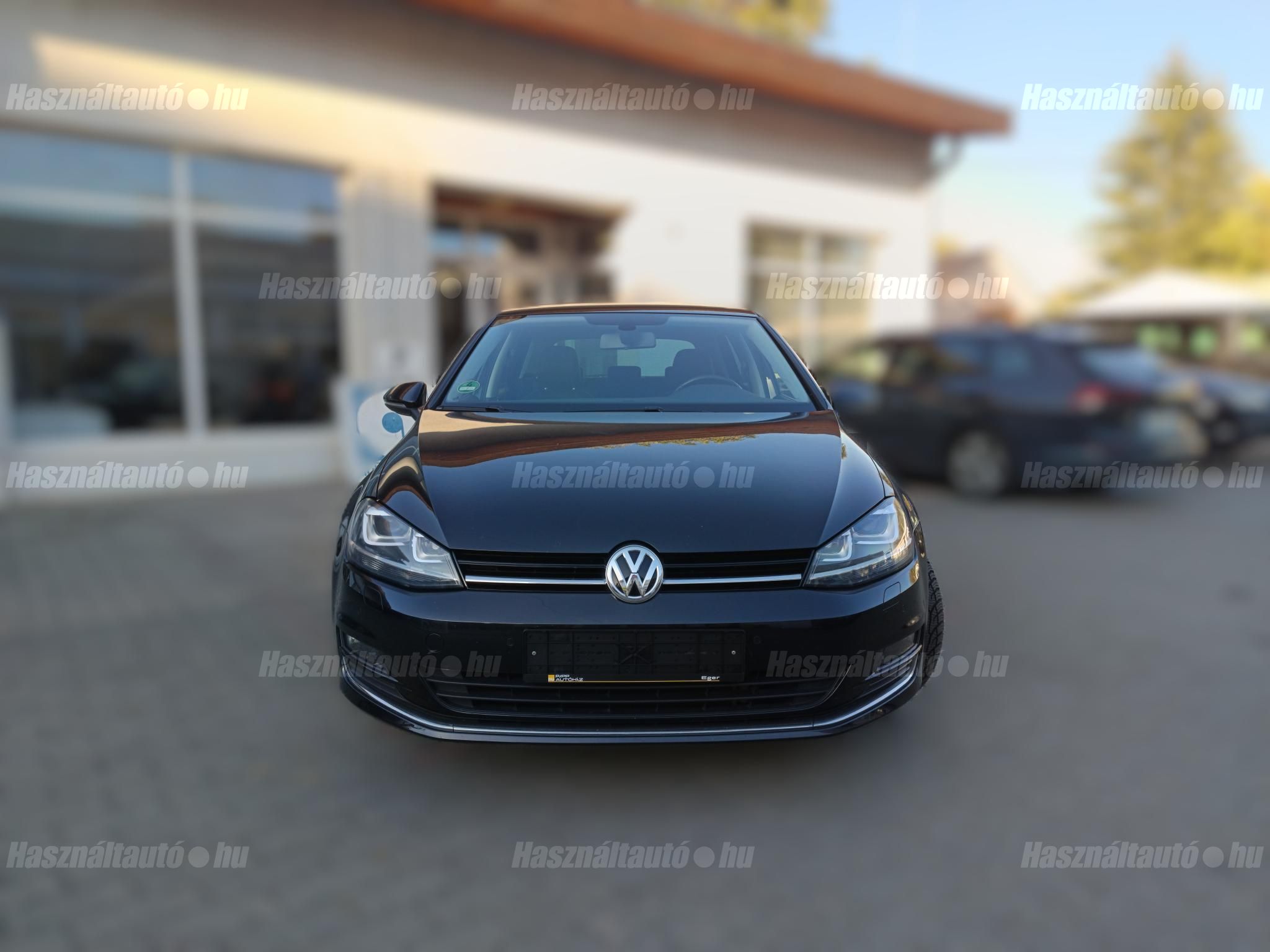 VOLKSWAGEN GOLF VII 2016/11 - 1