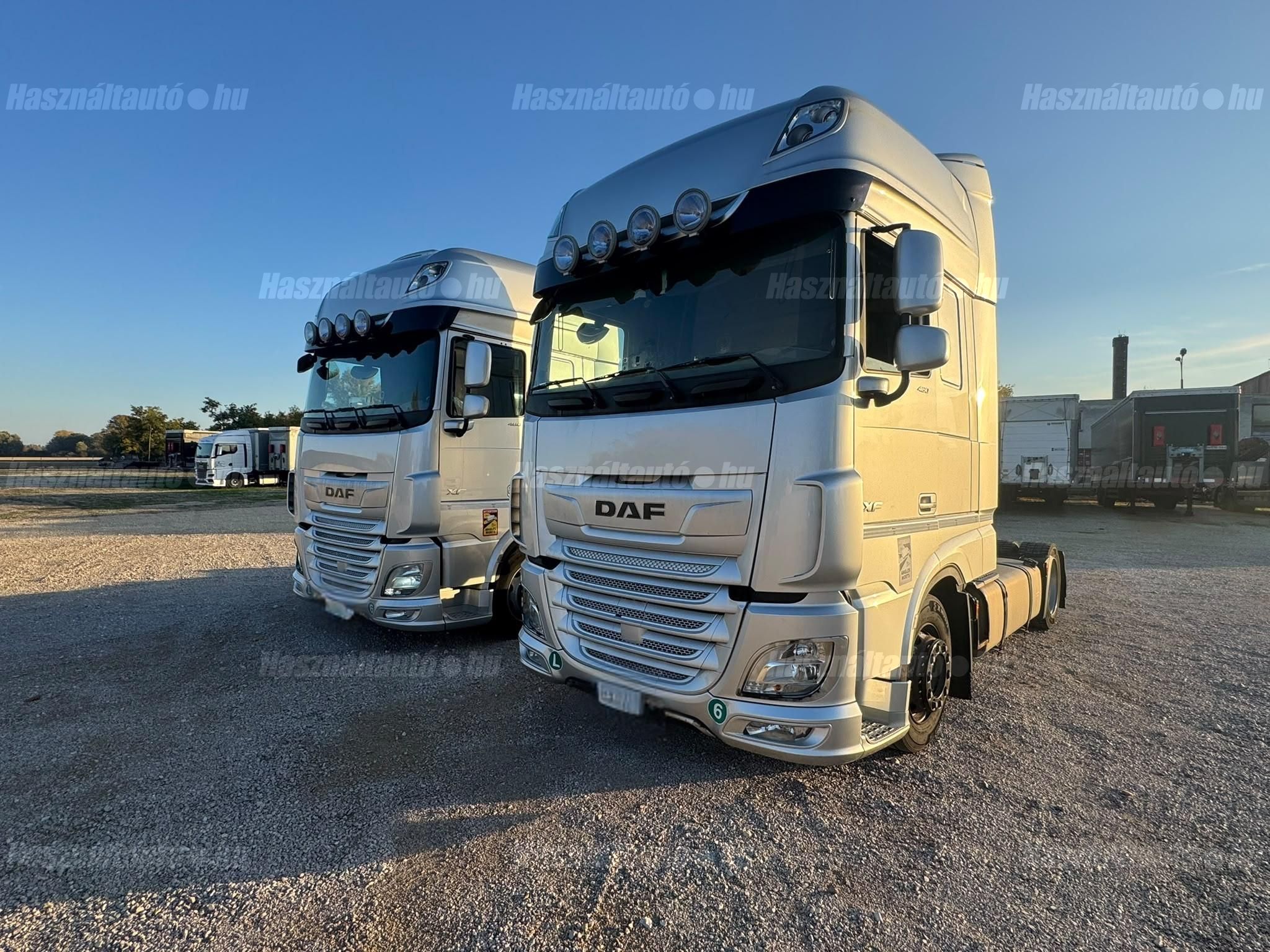 DAF 2020/1 - 1