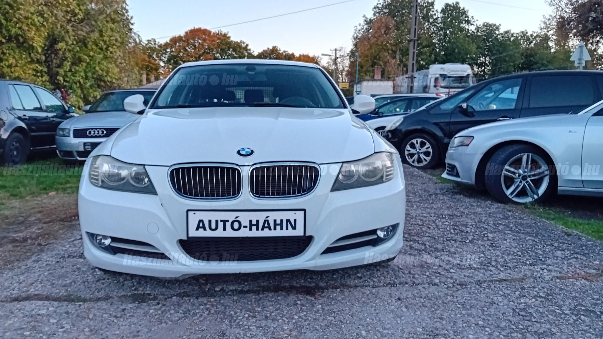 BMW 316 2010/12 - 1