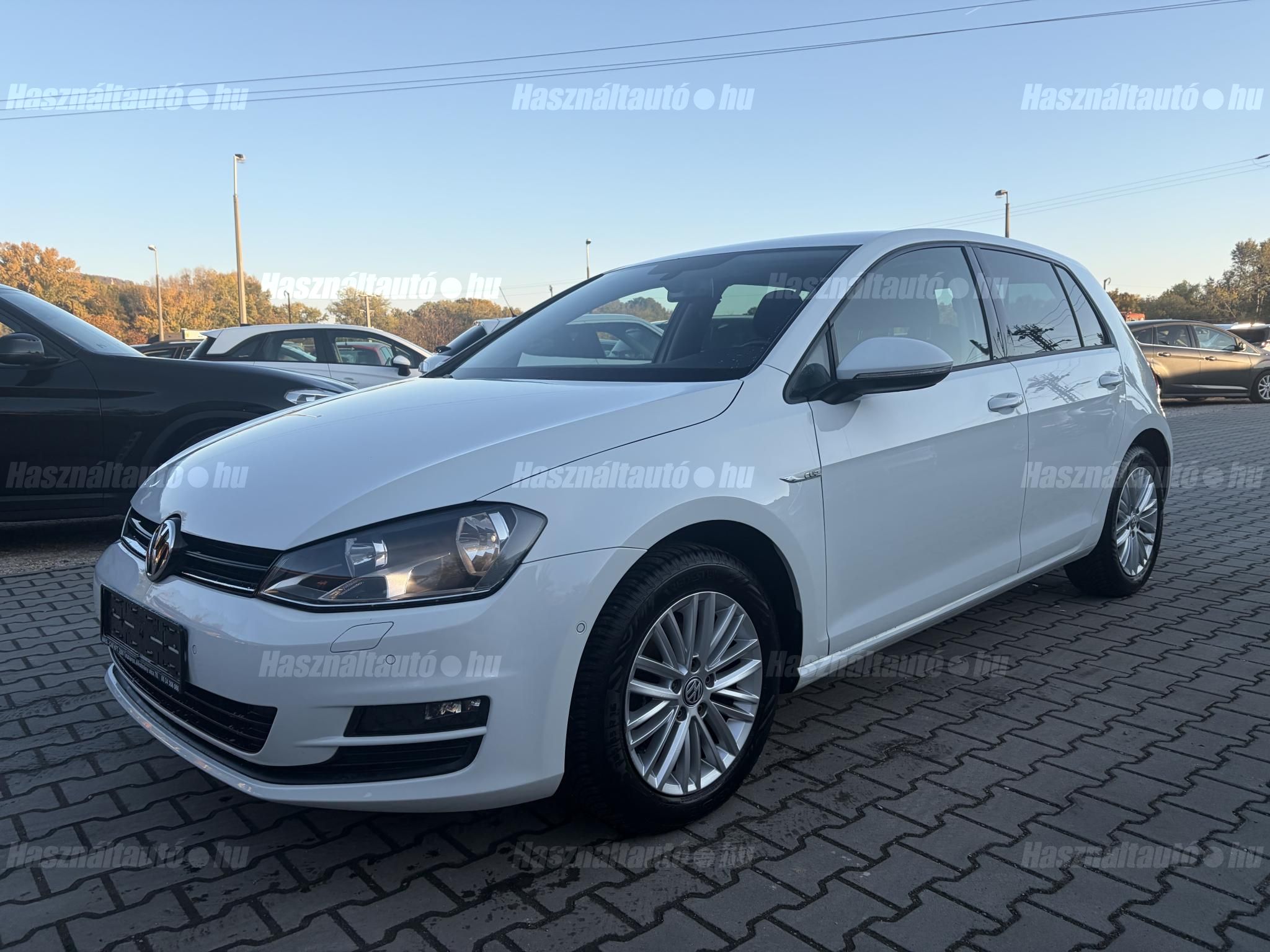 VOLKSWAGEN GOLF VII 2014/4 - 1