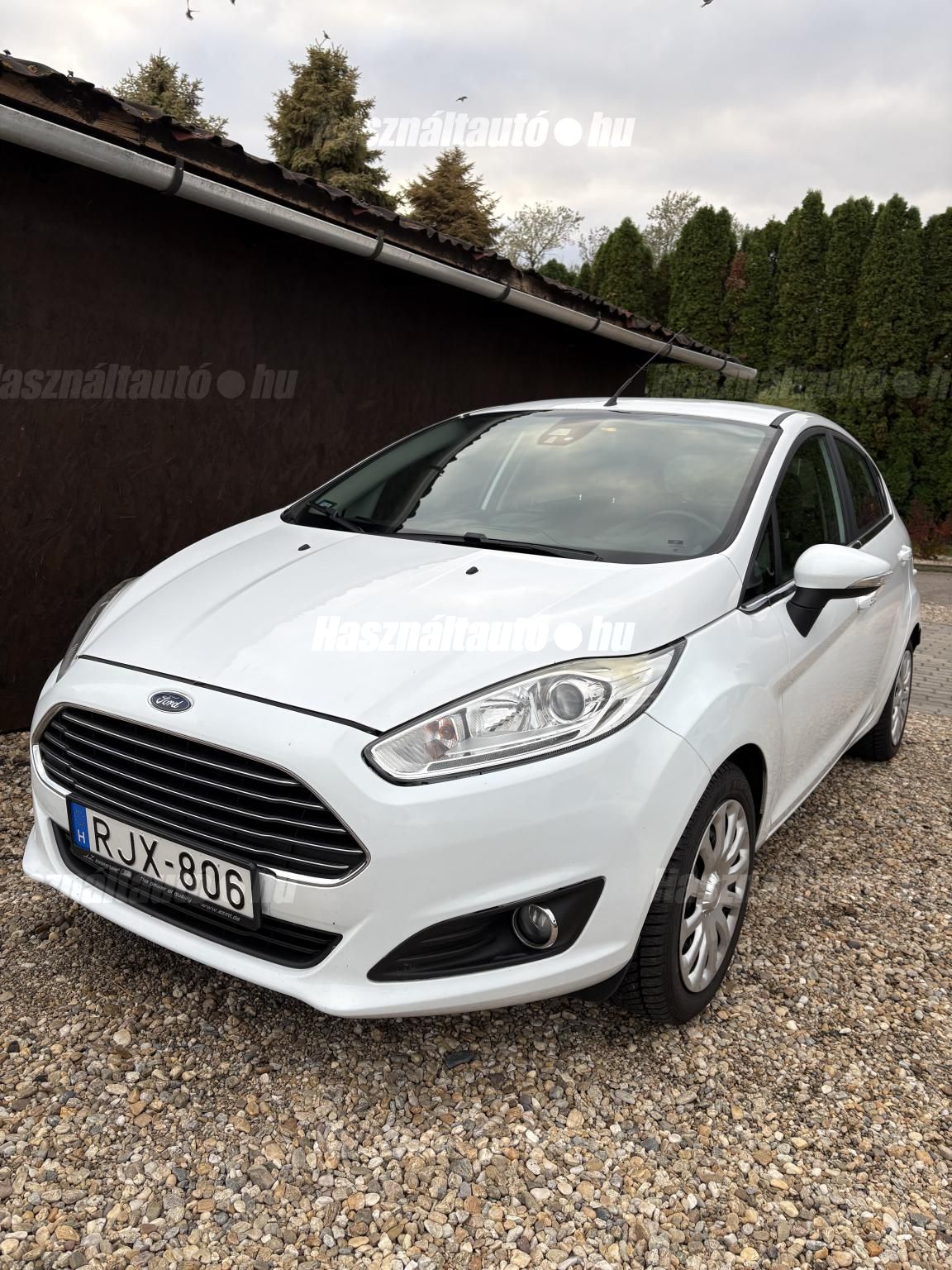 FORD FIESTA 2013/11 - 1