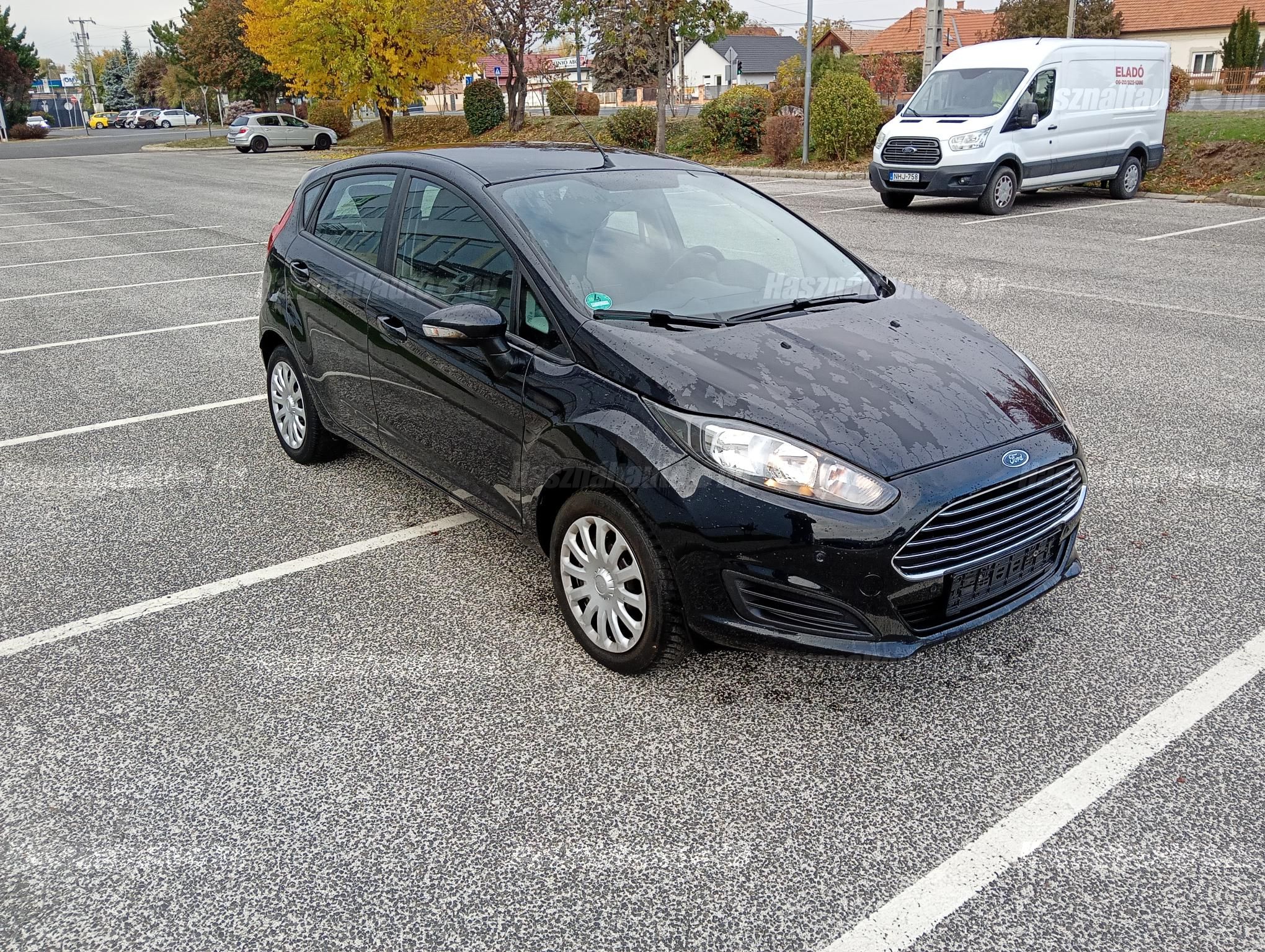 FORD FIESTA 2013/10 - 1