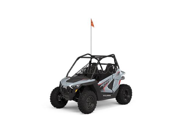 POLARIS RZR 200