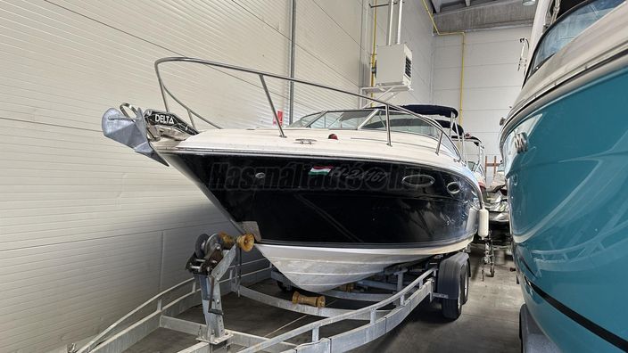 Sea Ray 225 WEEKENDER